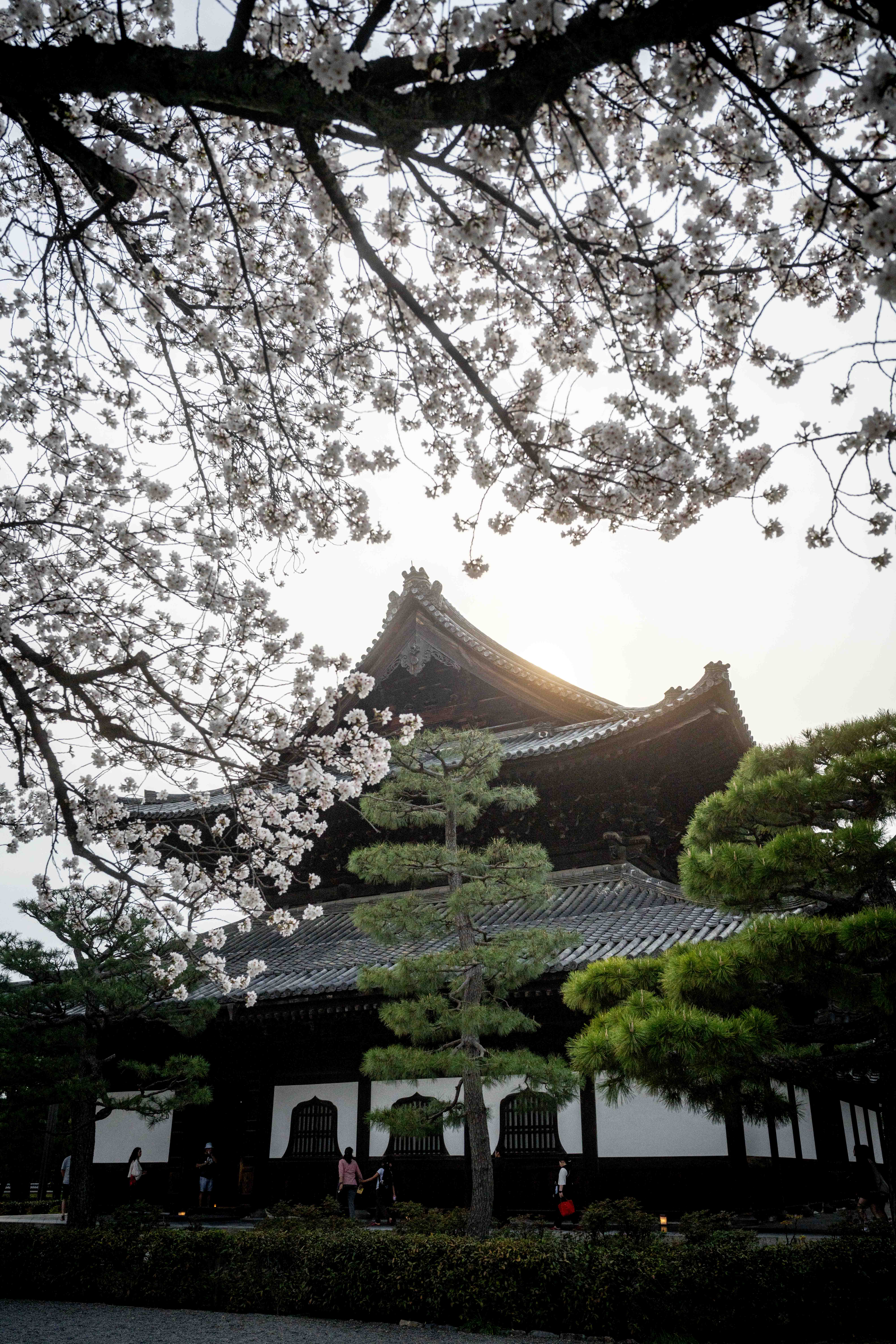 Photos from Tokyo and Kyoto, Japan, Spring 2026.
