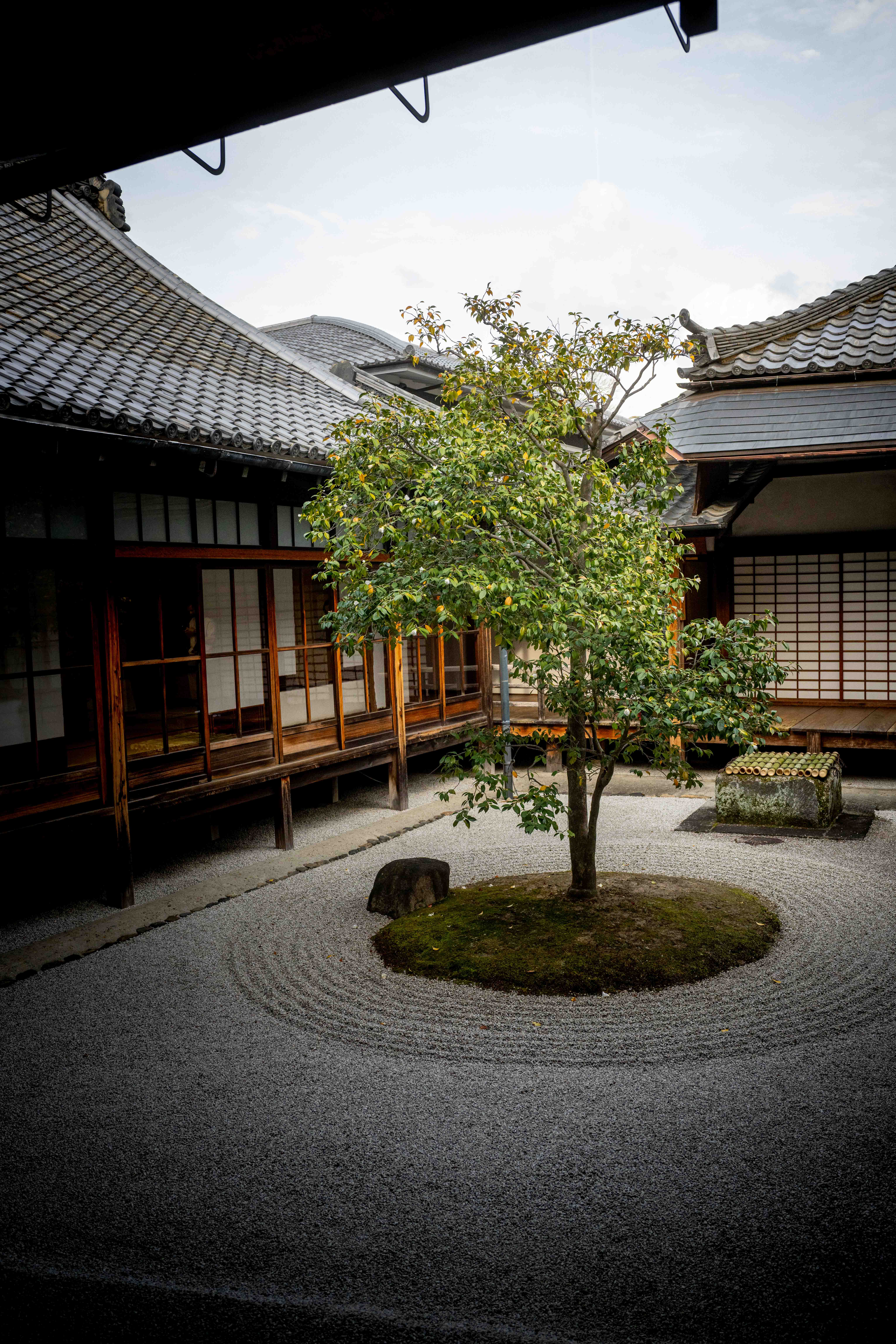 Photos from Tokyo and Kyoto, Japan, Spring 2026.