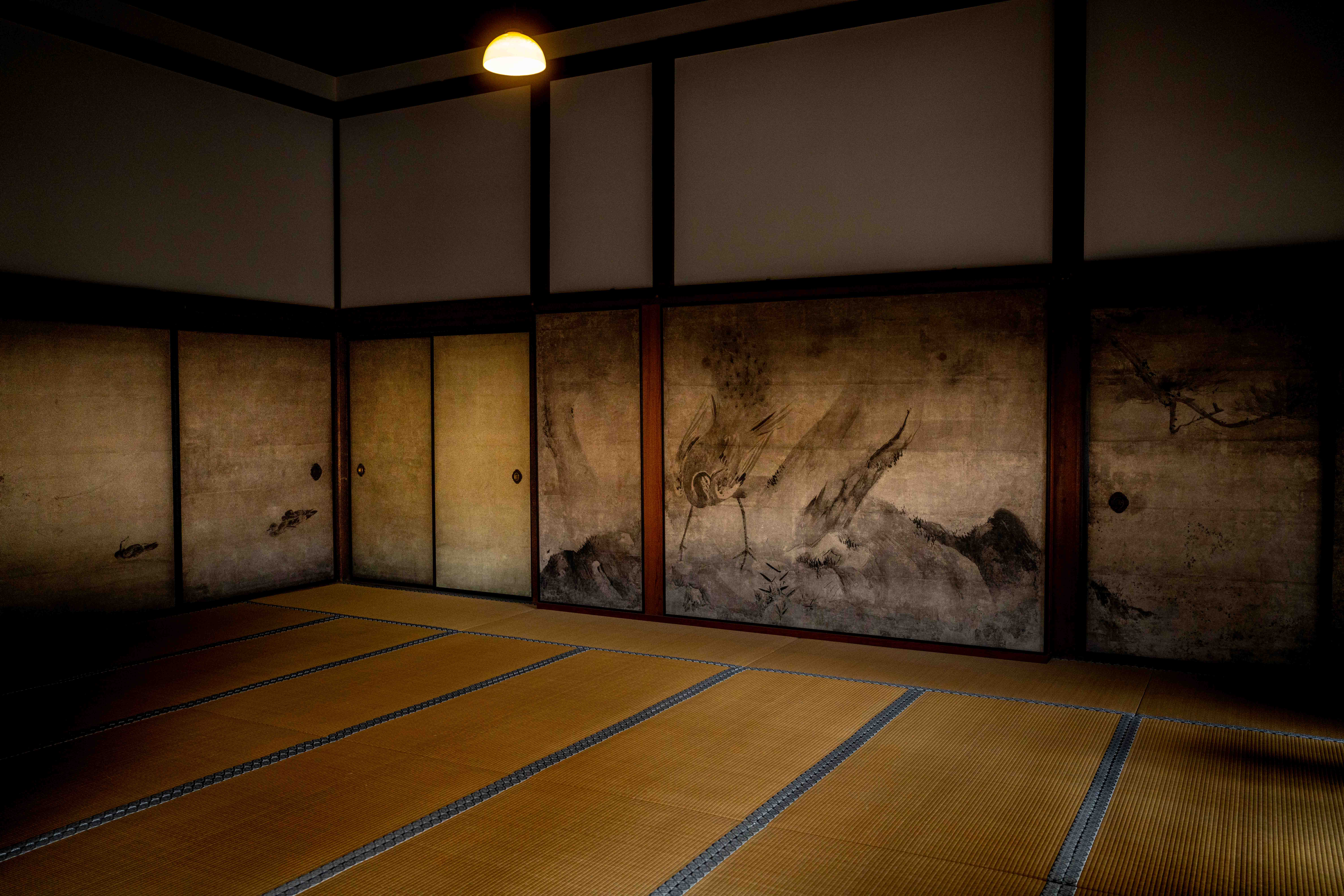 Photos from Tokyo and Kyoto, Japan, Spring 2026.