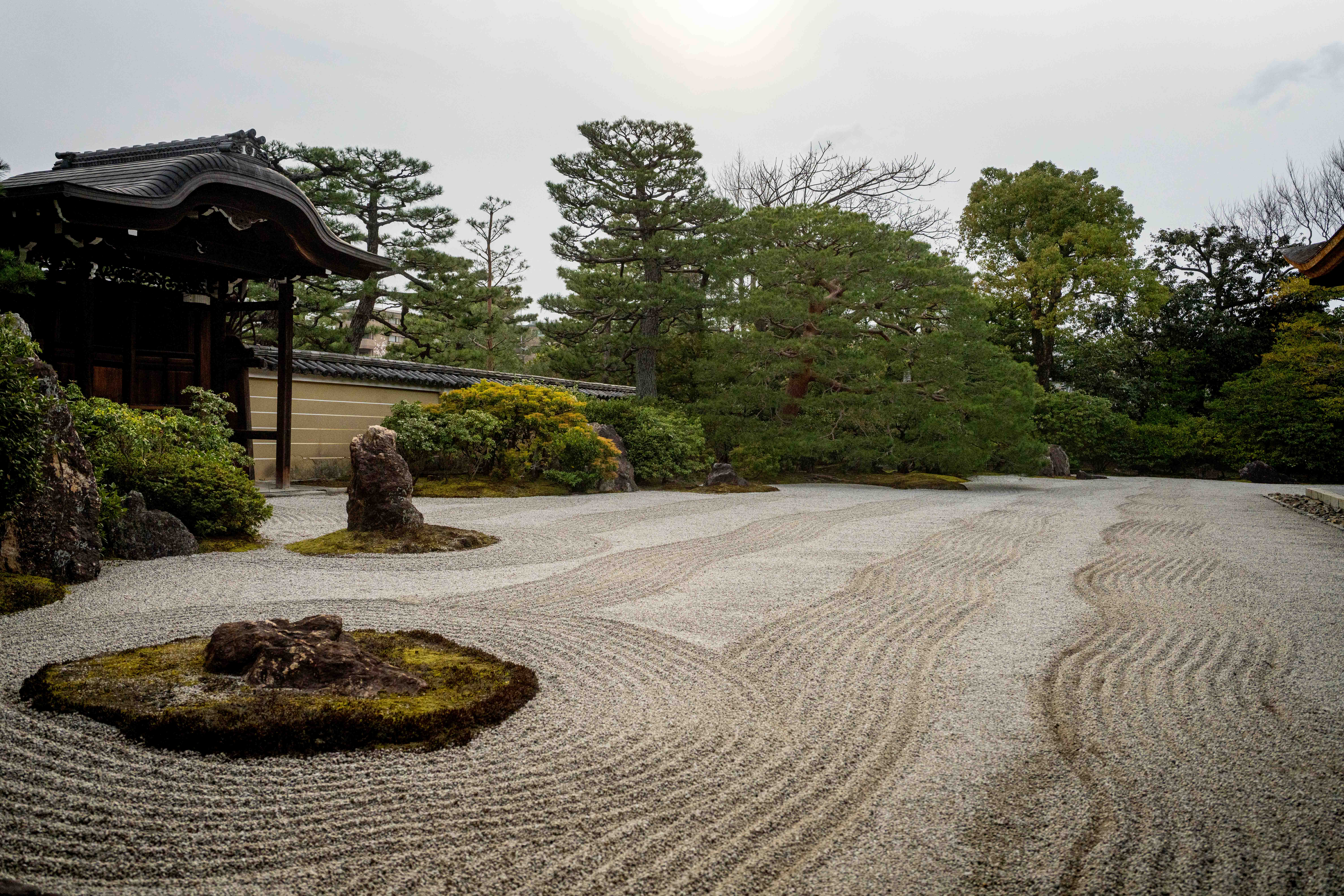 Photos from Tokyo and Kyoto, Japan, Spring 2026.