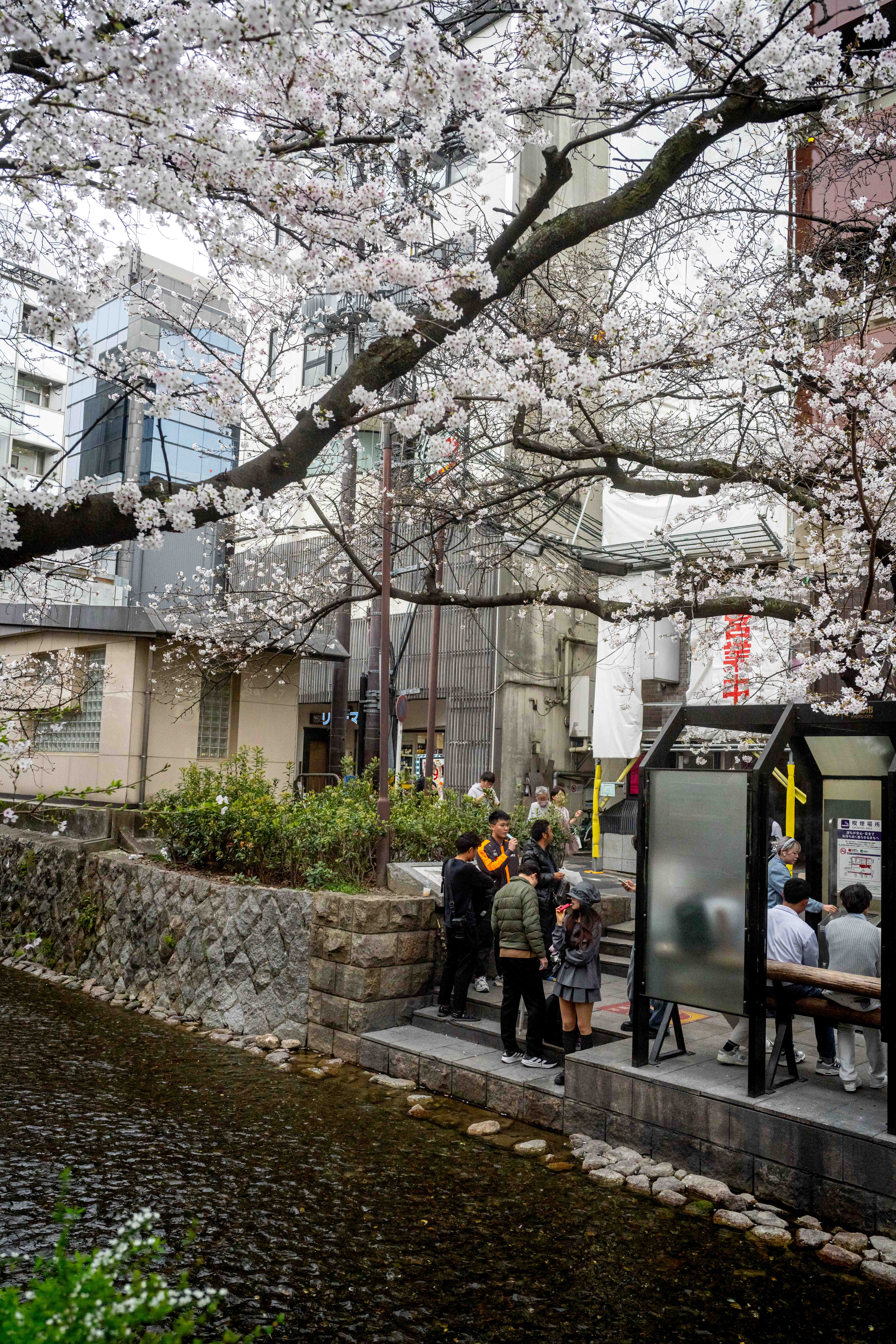 Photos from Tokyo and Kyoto, Japan, Spring 2026.