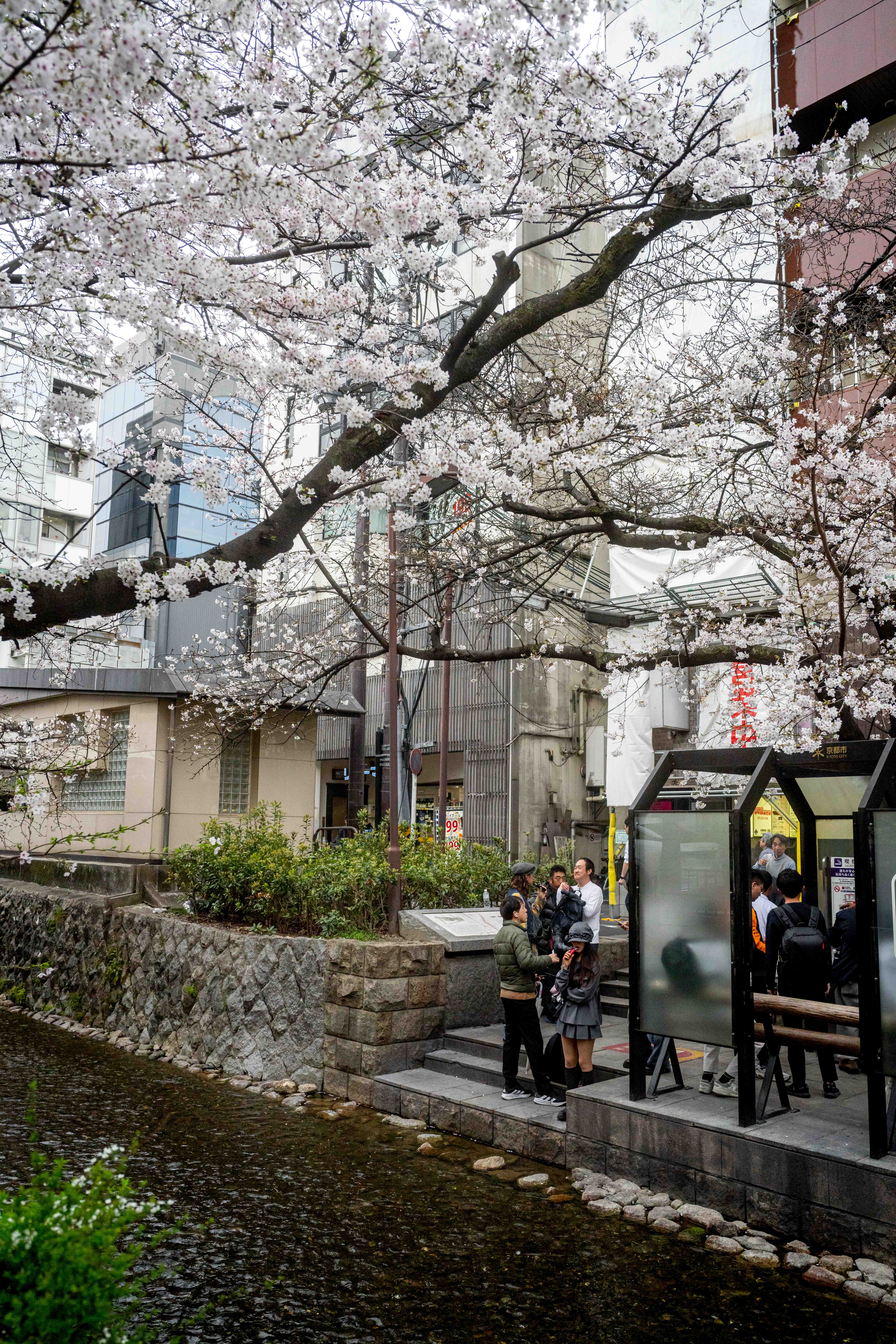 Photos from Tokyo and Kyoto, Japan, Spring 2026.