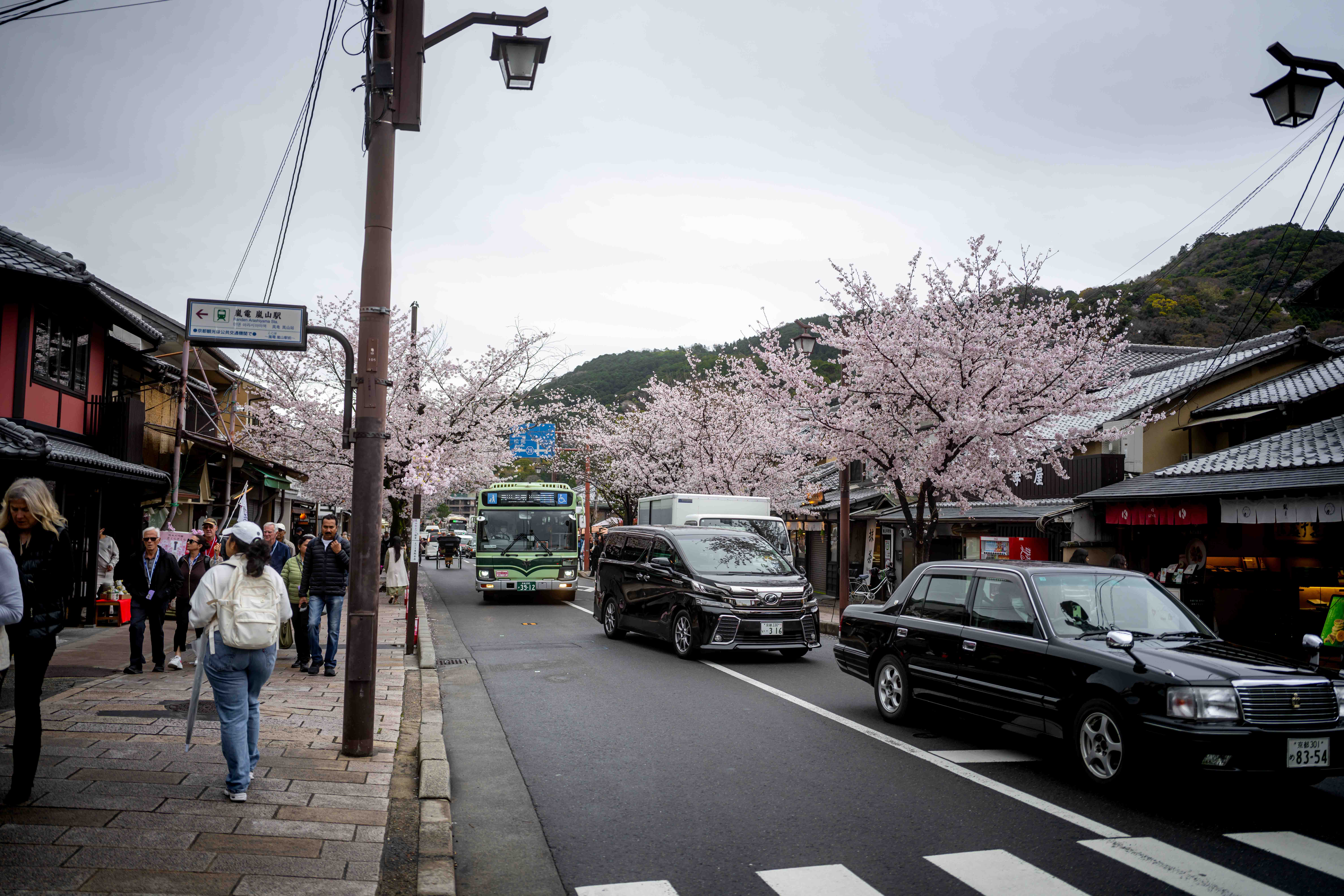 Photos from Tokyo and Kyoto, Japan, Spring 2026.
