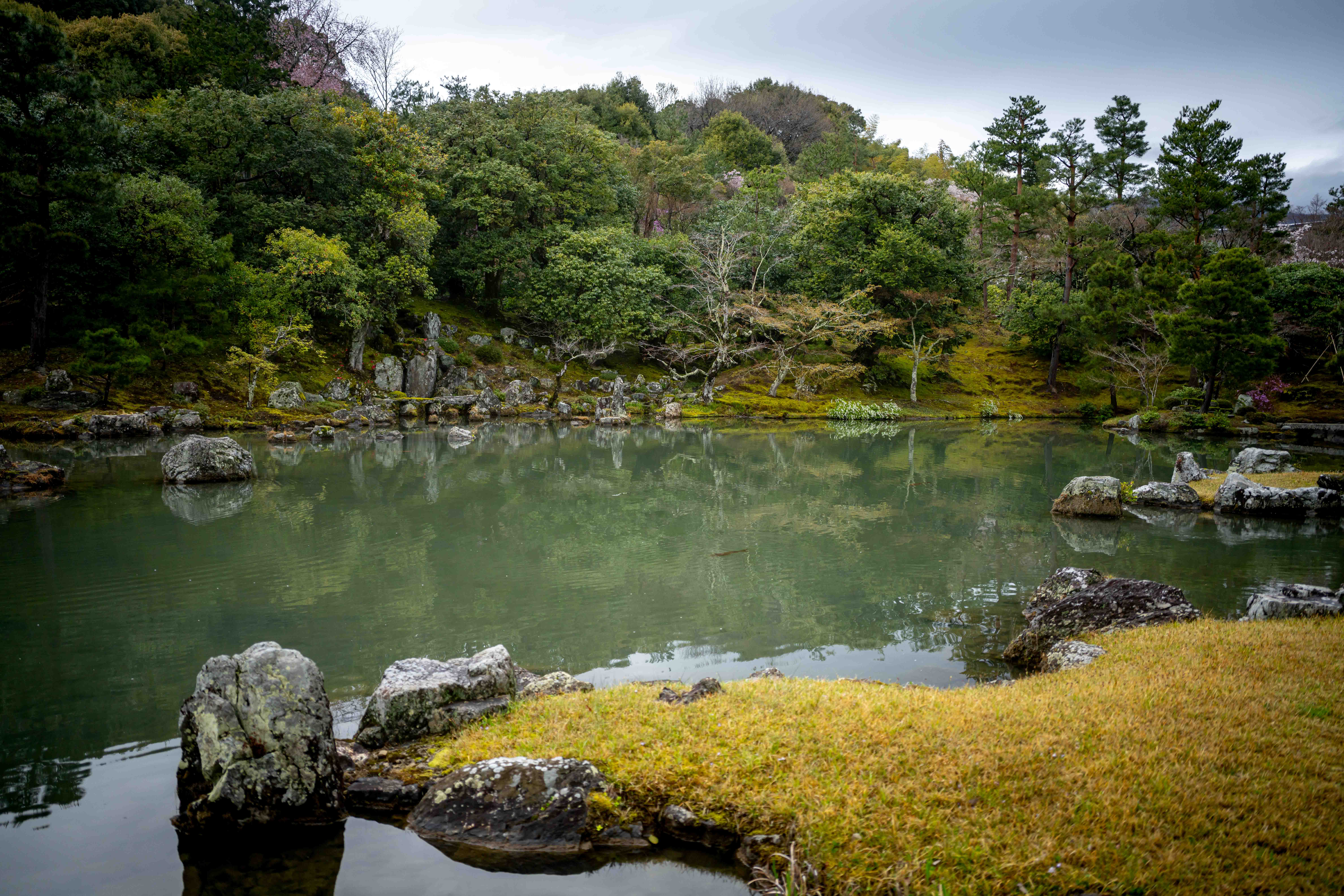 Photos from Tokyo and Kyoto, Japan, Spring 2026.