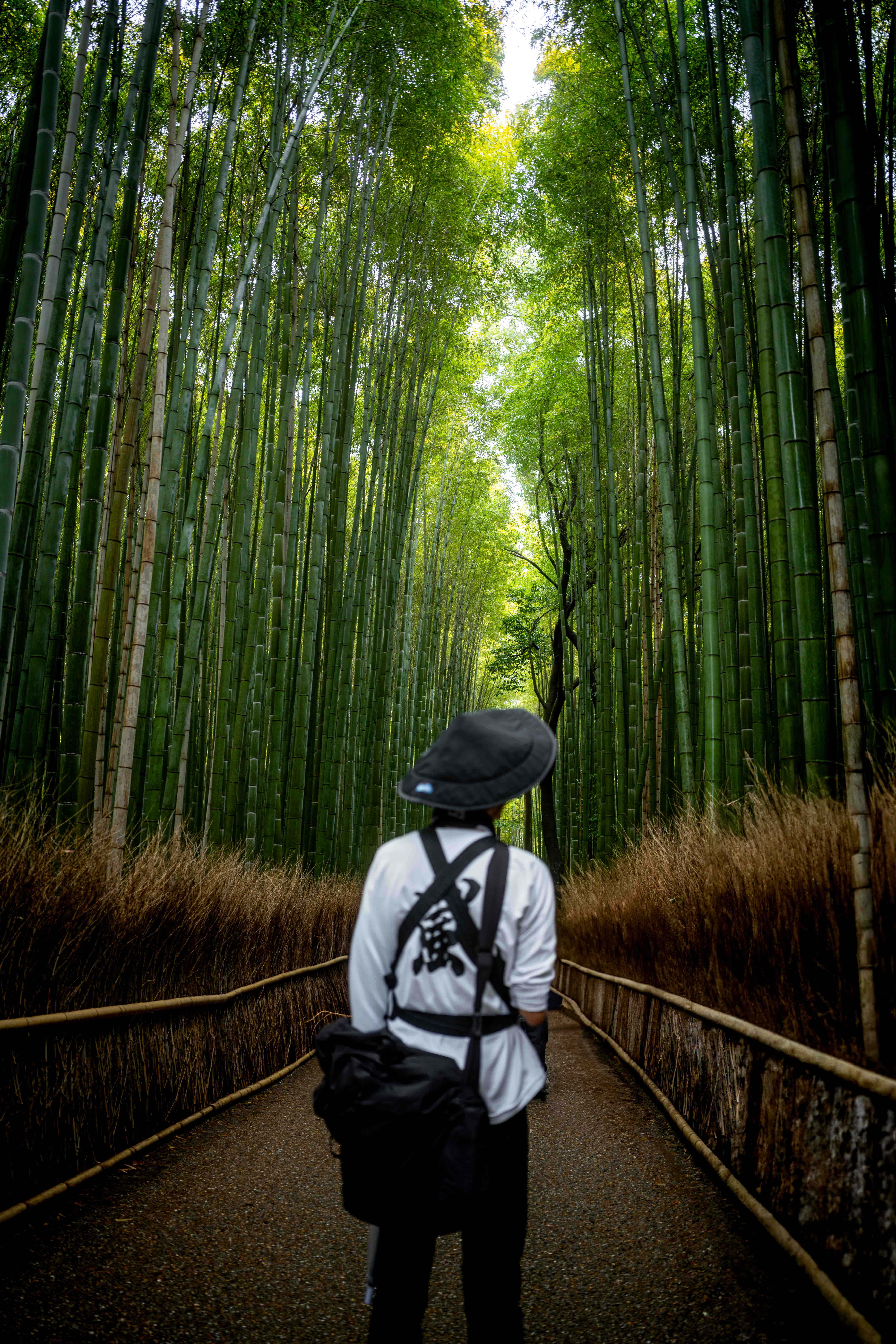 Photos from Tokyo and Kyoto, Japan, Spring 2026.