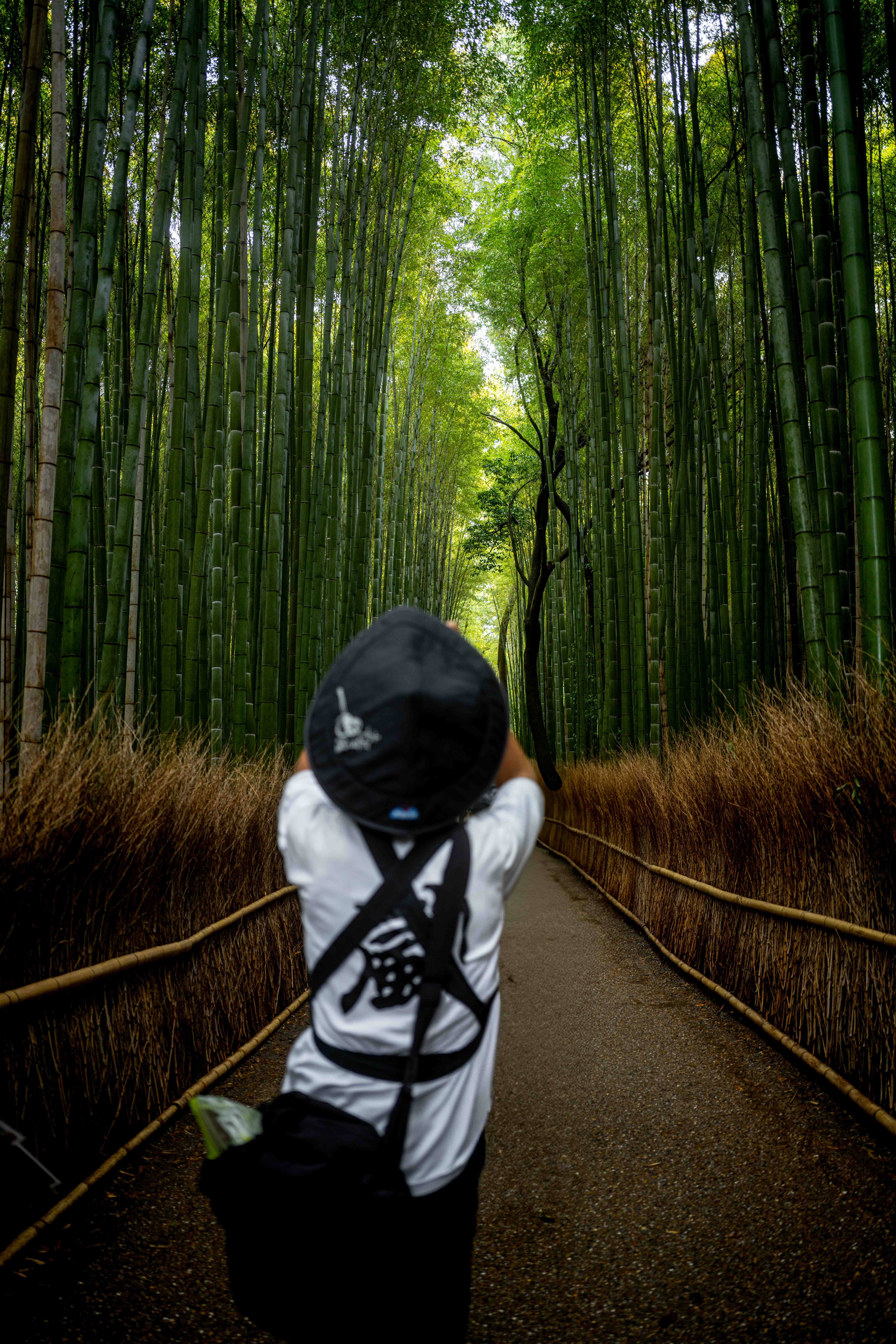 Photos from Tokyo and Kyoto, Japan, Spring 2026.