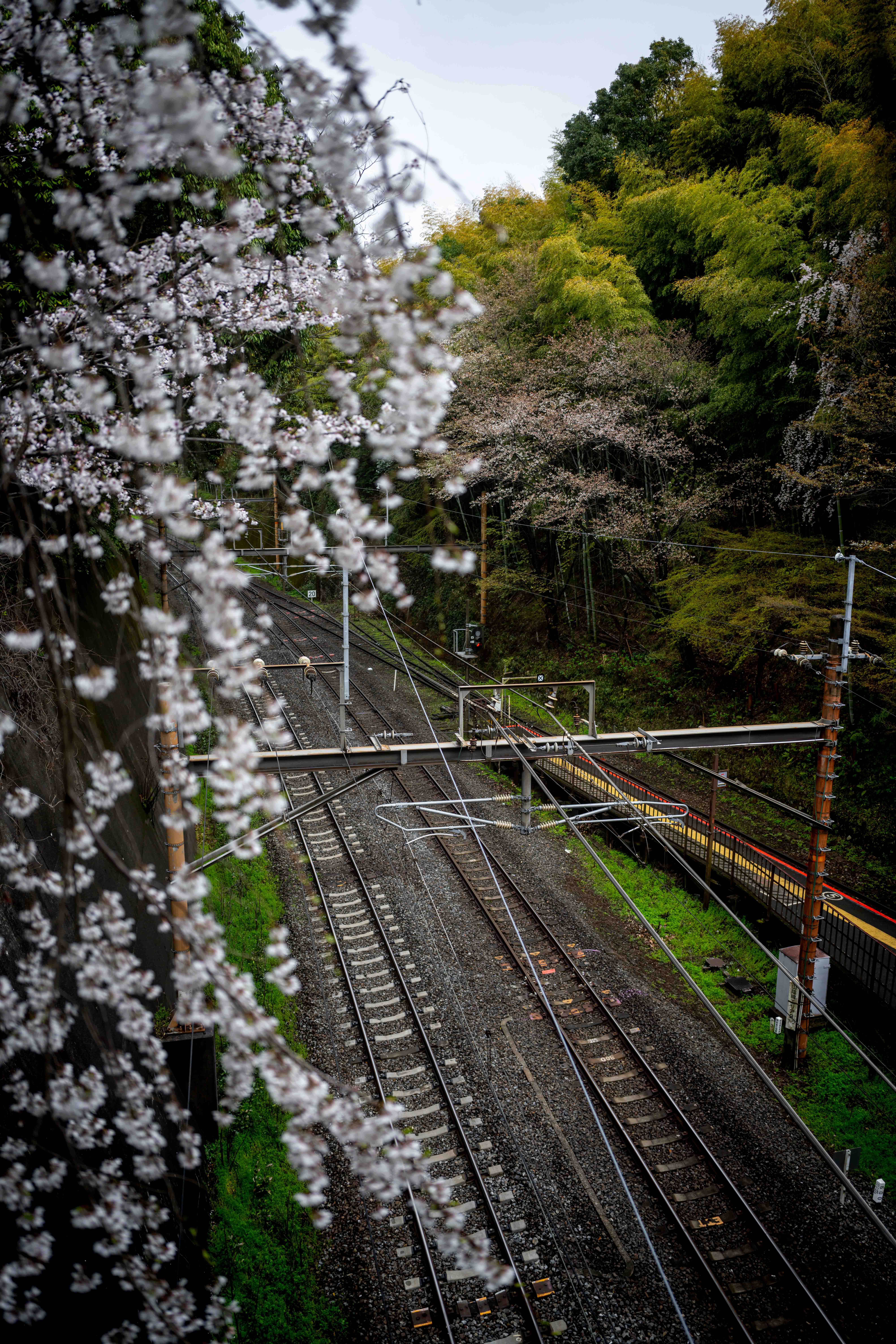 Photos from Tokyo and Kyoto, Japan, Spring 2026.