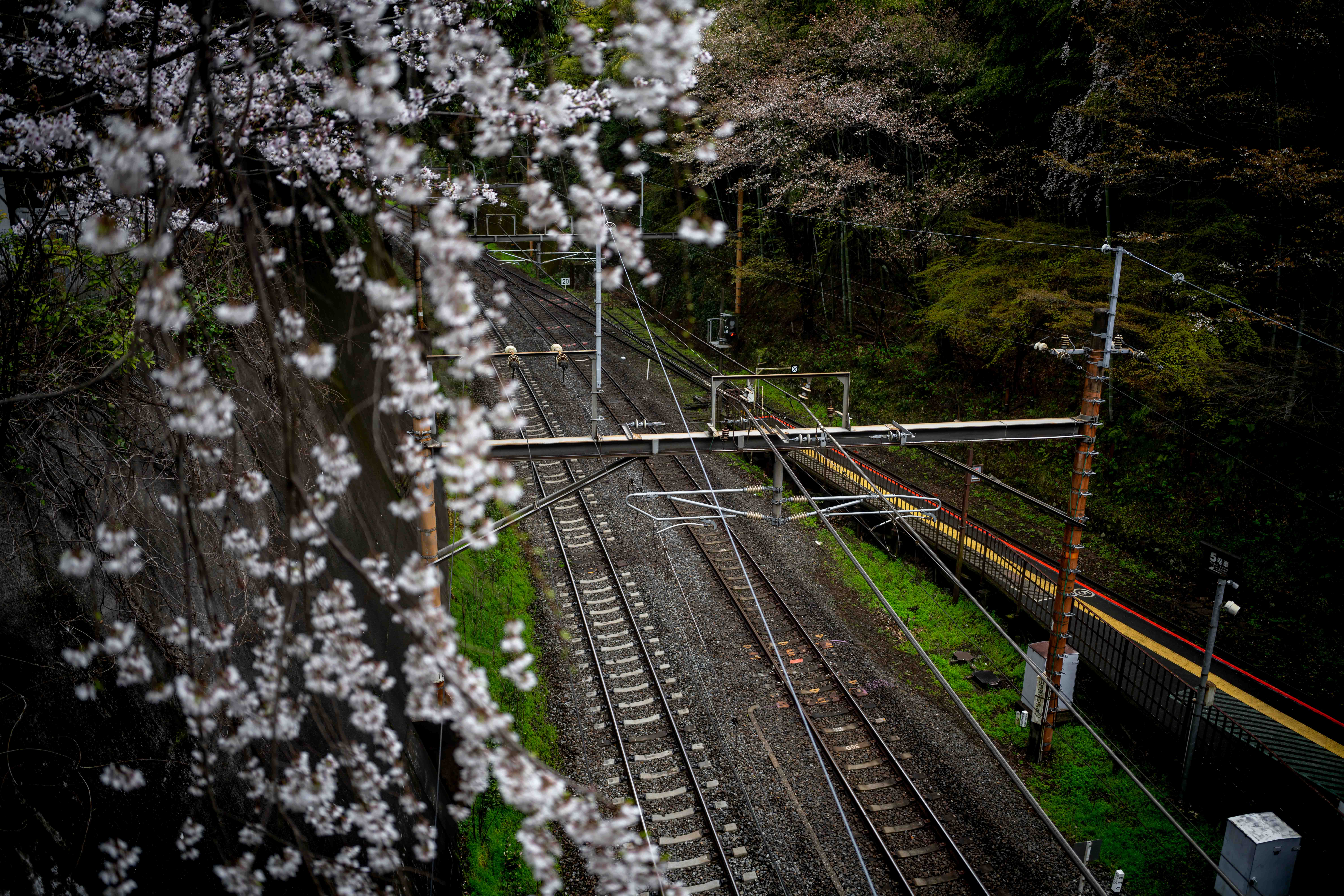 Photos from Tokyo and Kyoto, Japan, Spring 2026.