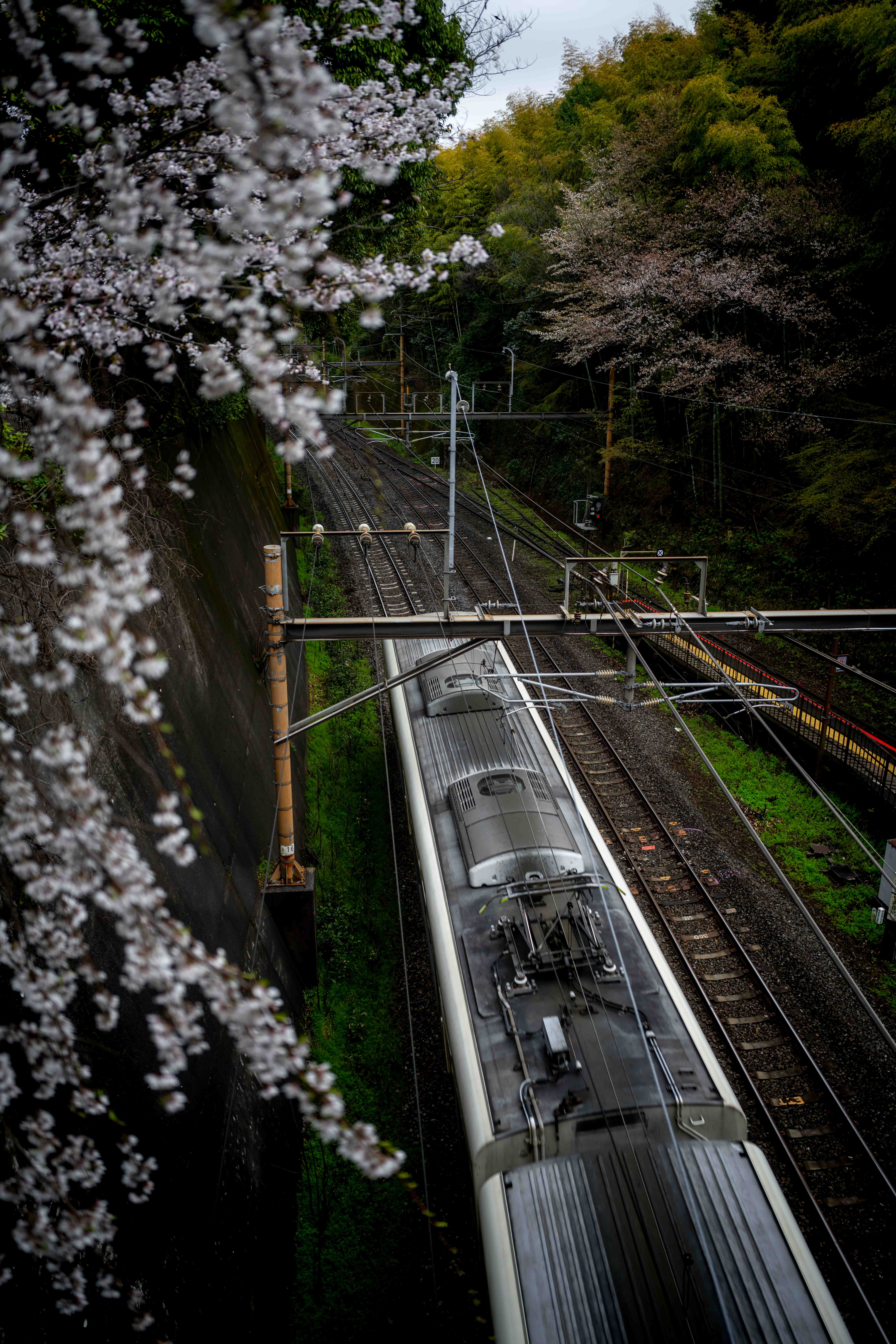 Photos from Tokyo and Kyoto, Japan, Spring 2026.
