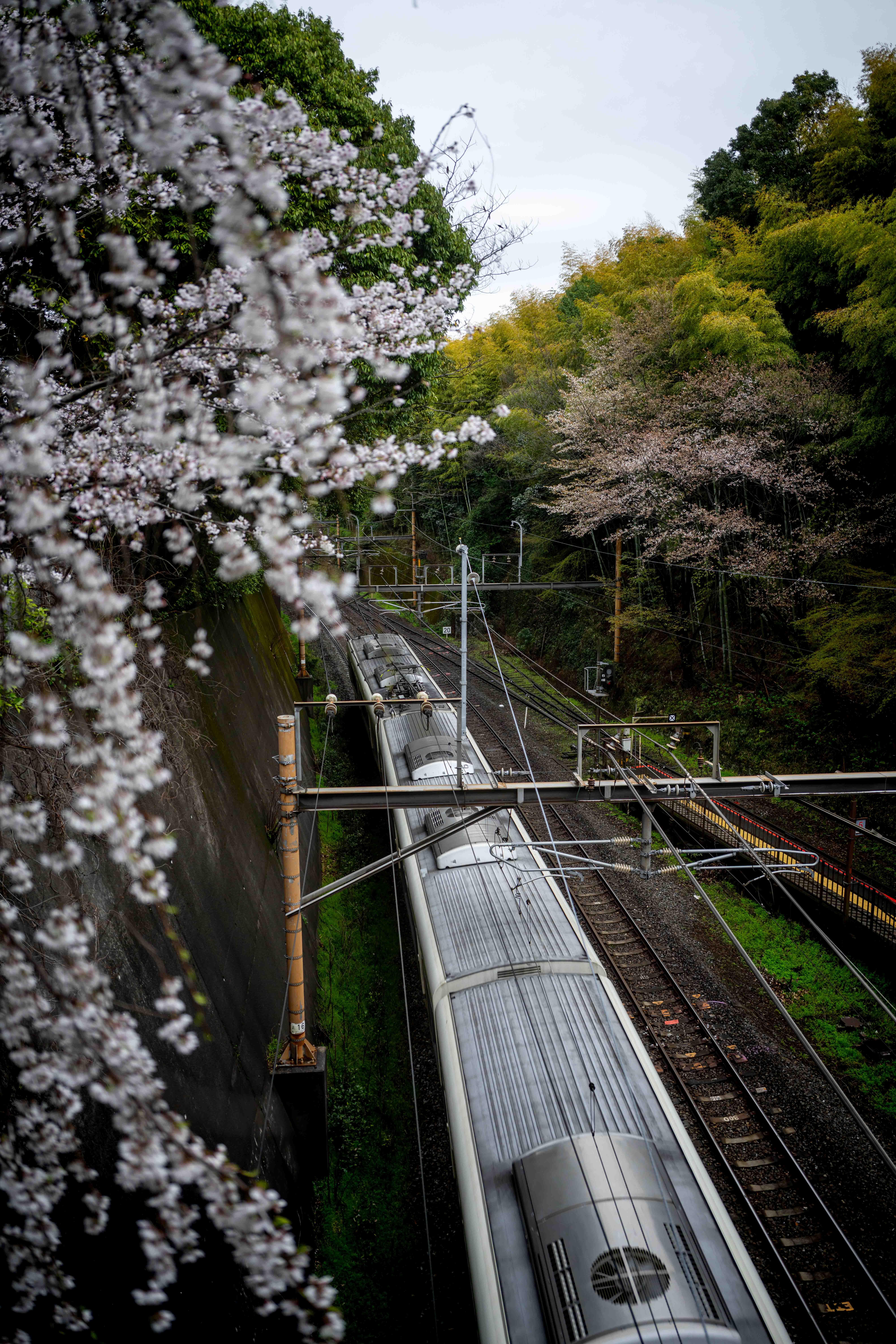 Photos from Tokyo and Kyoto, Japan, Spring 2026.
