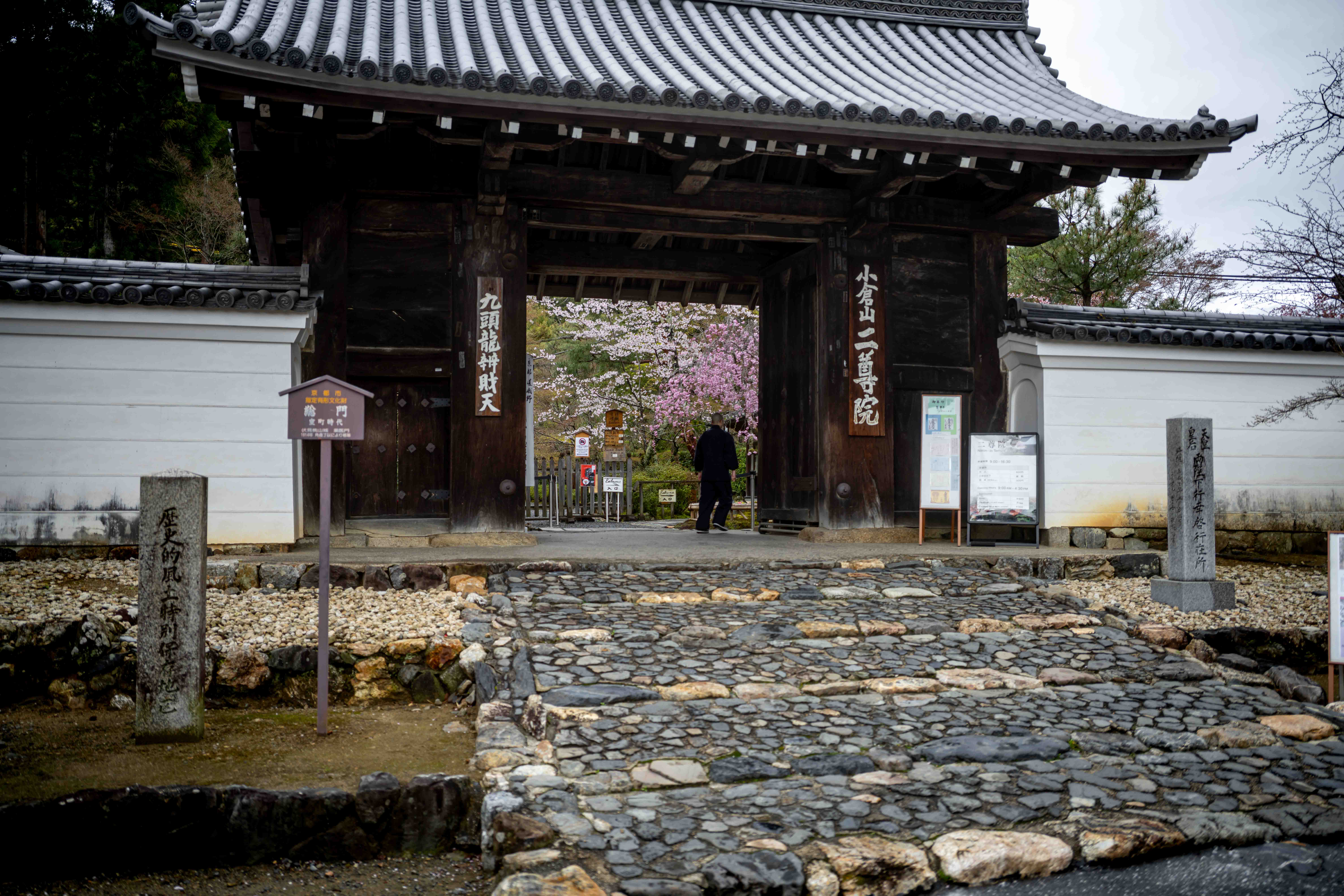 Photos from Tokyo and Kyoto, Japan, Spring 2026.