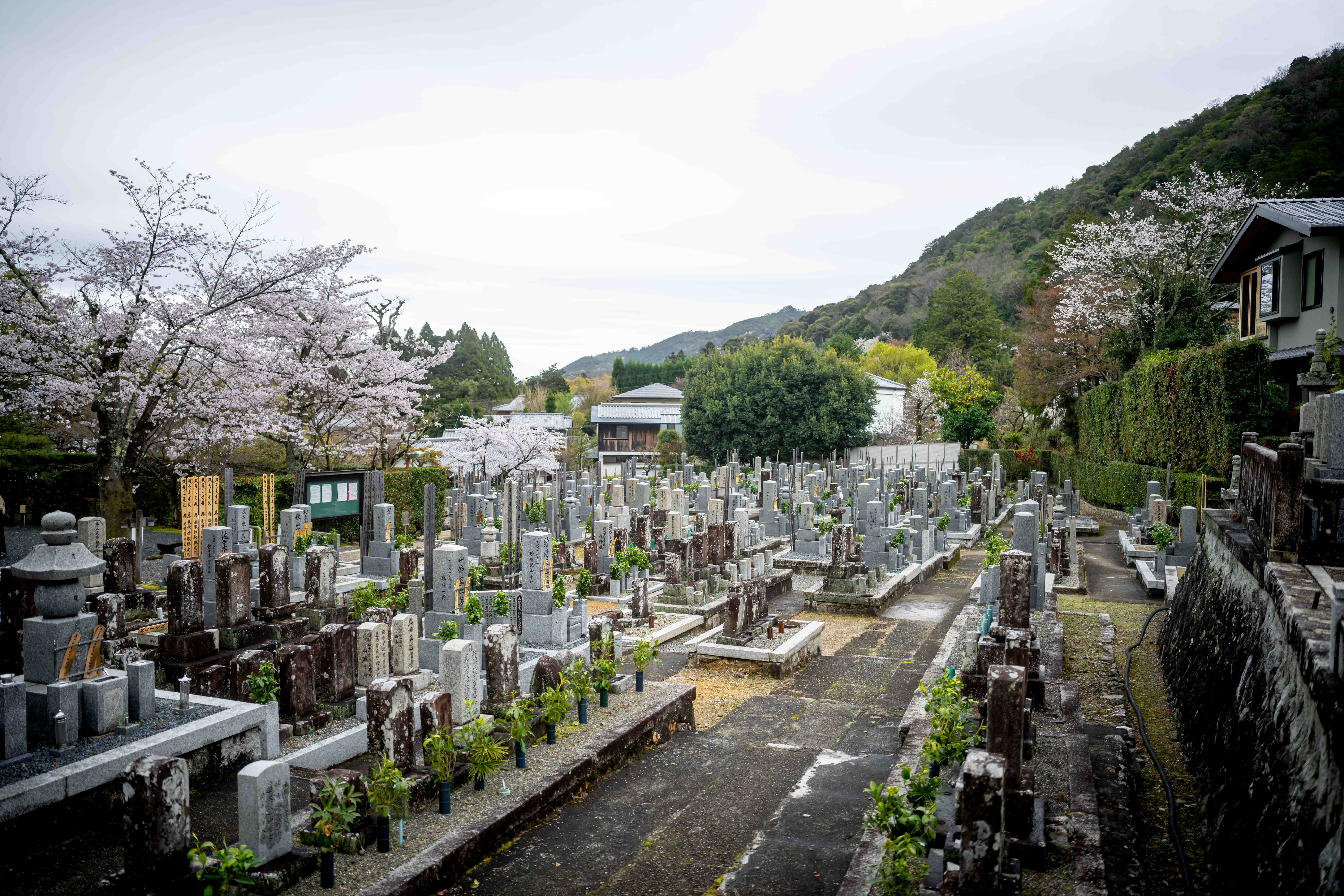 Photos from Tokyo and Kyoto, Japan, Spring 2026.