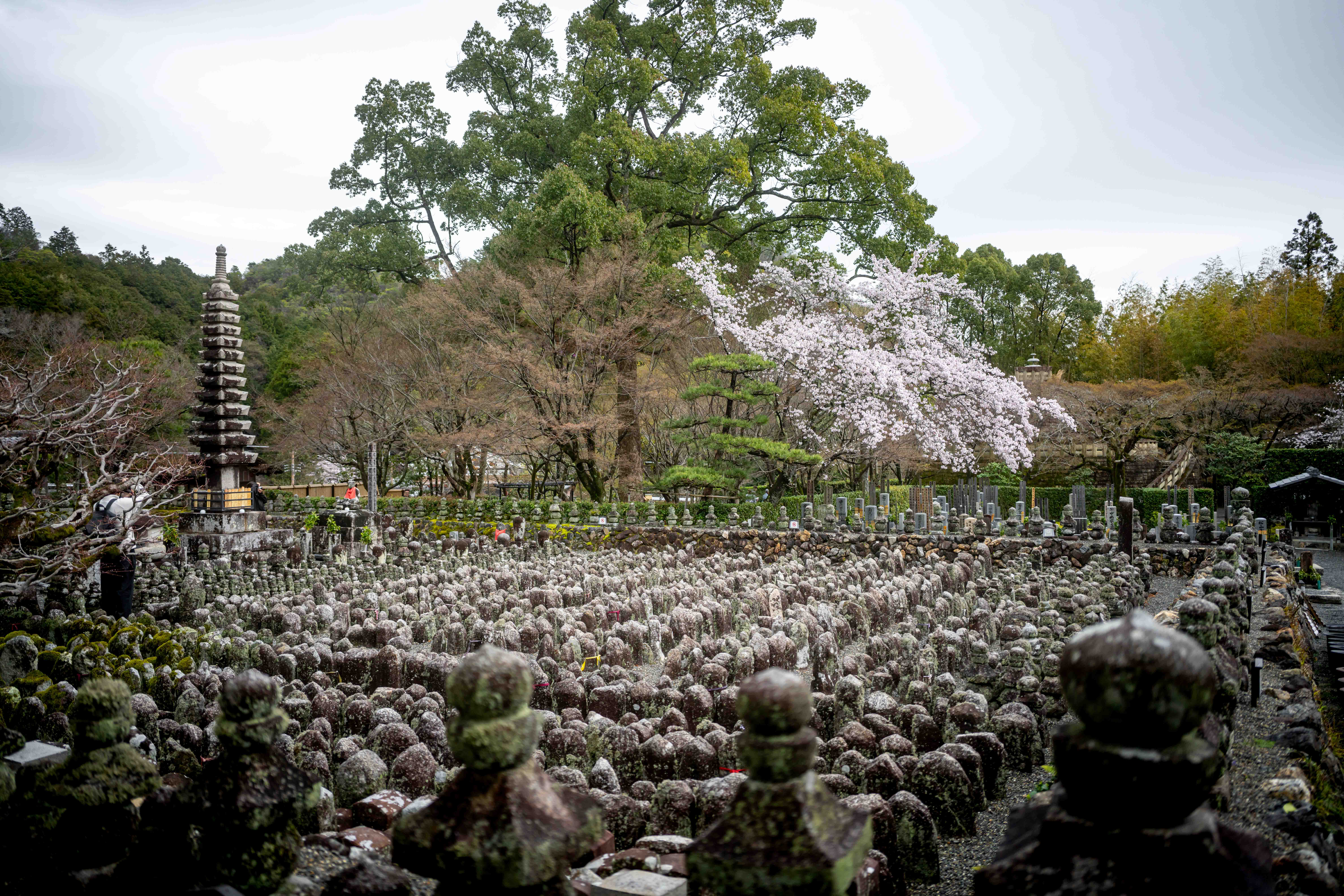 Photos from Tokyo and Kyoto, Japan, Spring 2026.