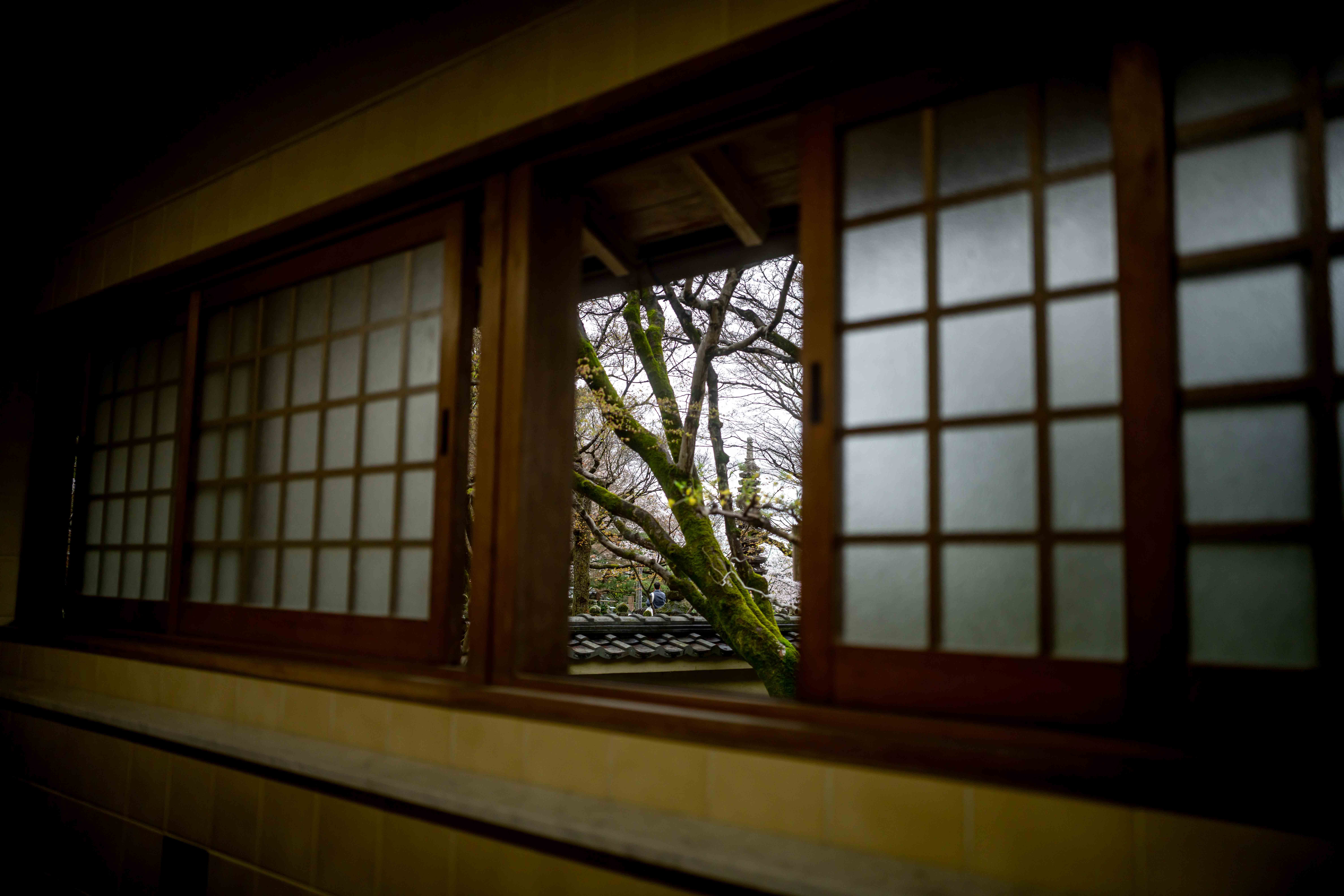 Photos from Tokyo and Kyoto, Japan, Spring 2026.