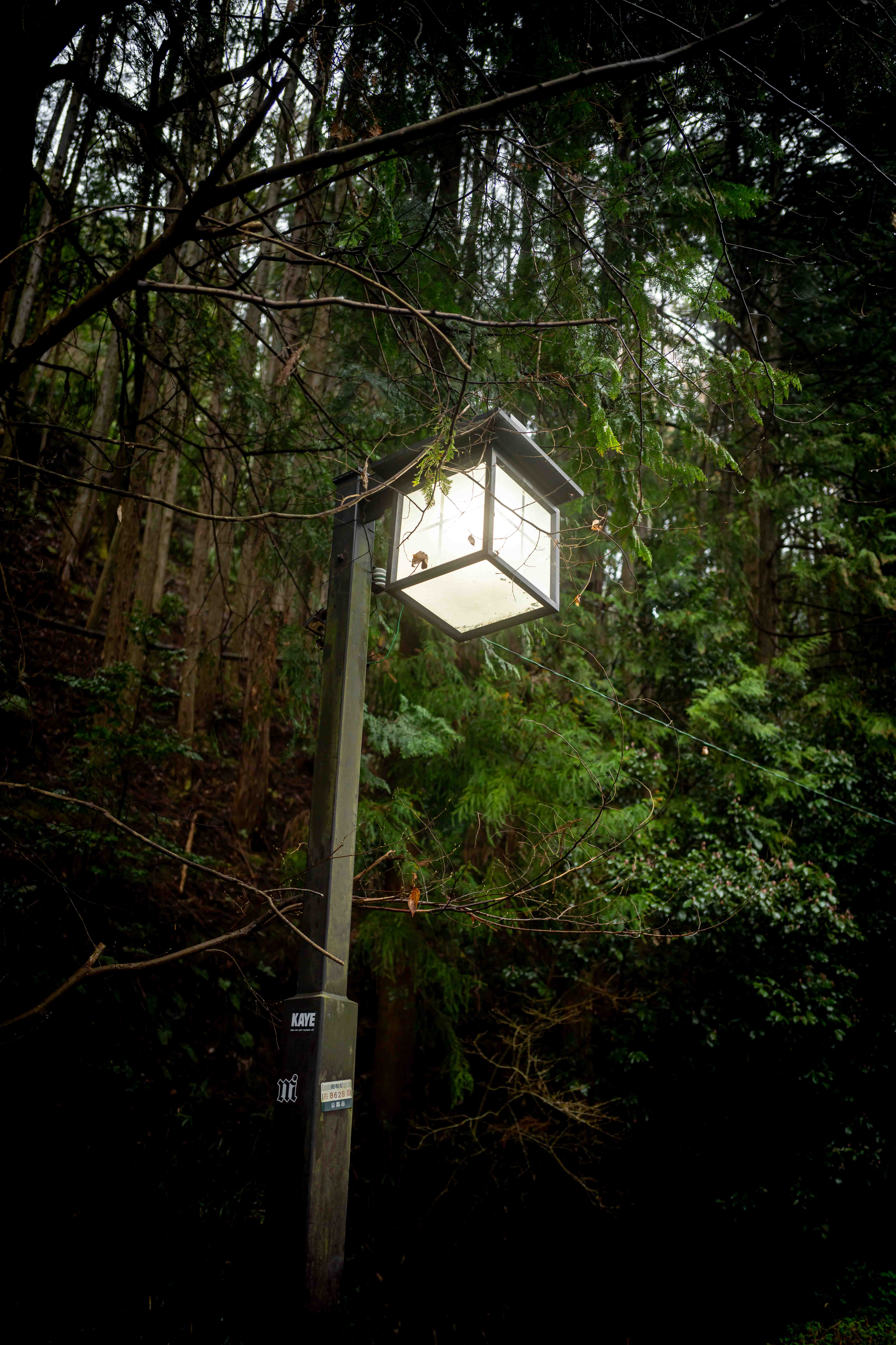 Photos from Tokyo and Kyoto, Japan, Spring 2026.