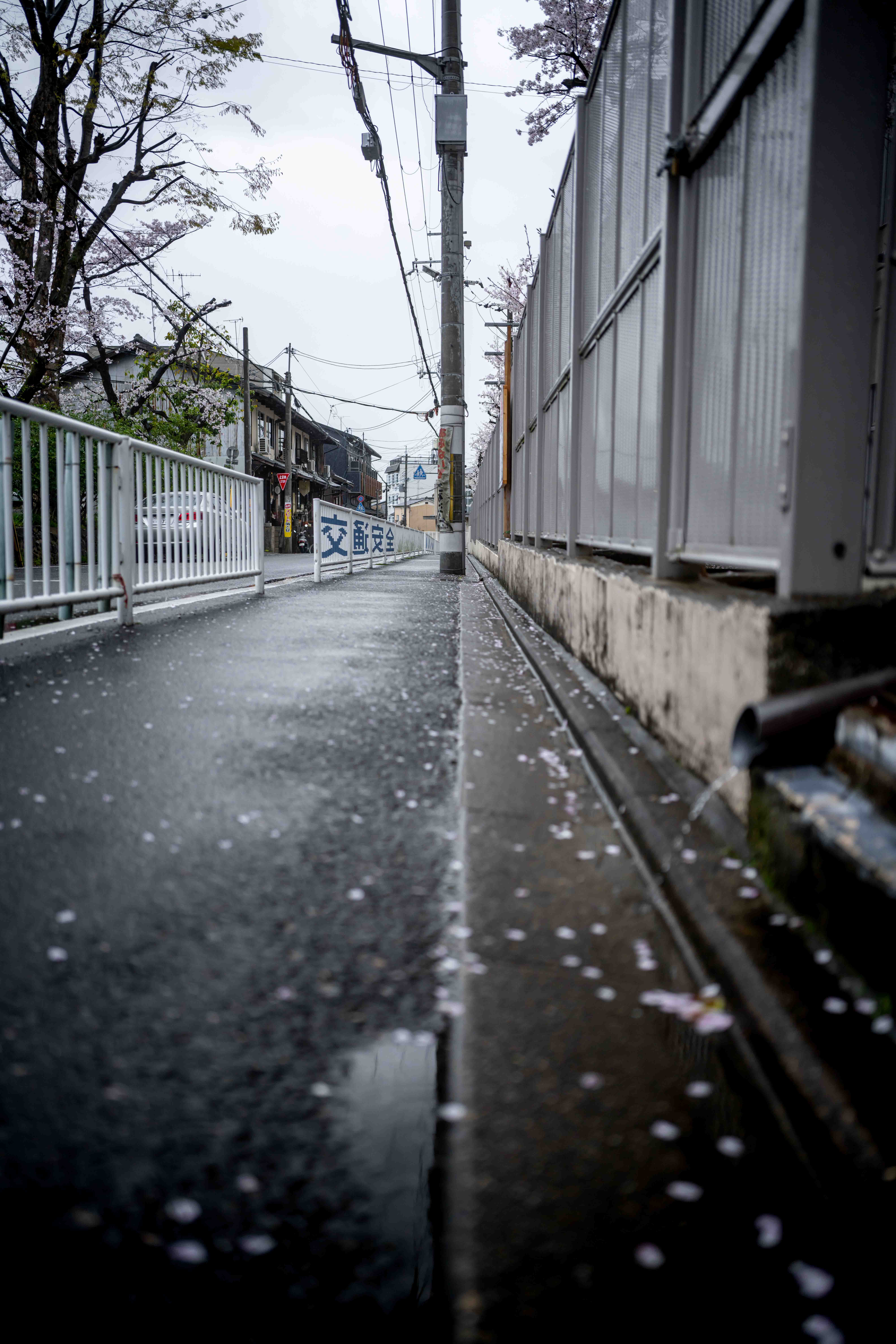 Photos from Tokyo and Kyoto, Japan, Spring 2026.