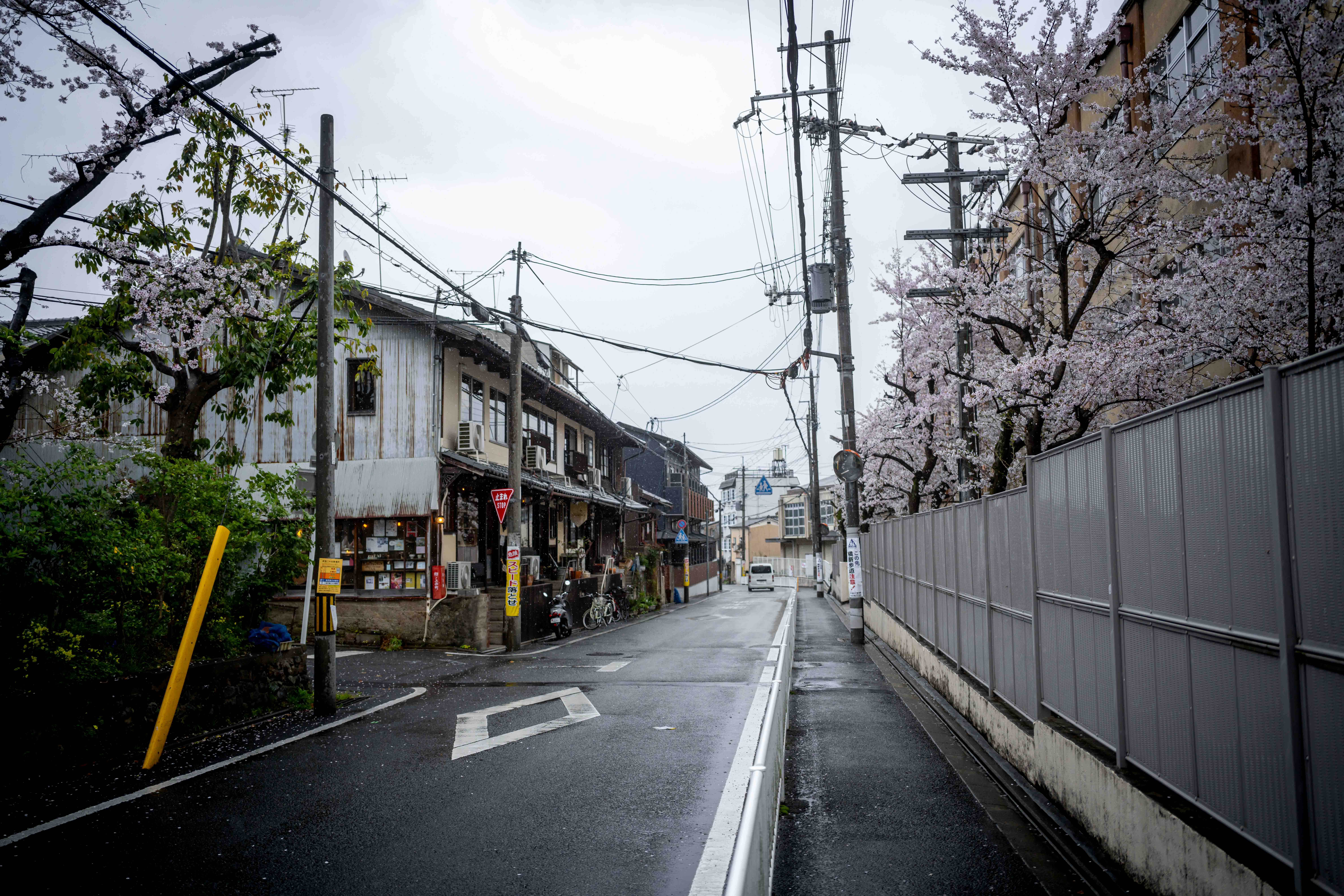 Photos from Tokyo and Kyoto, Japan, Spring 2026.