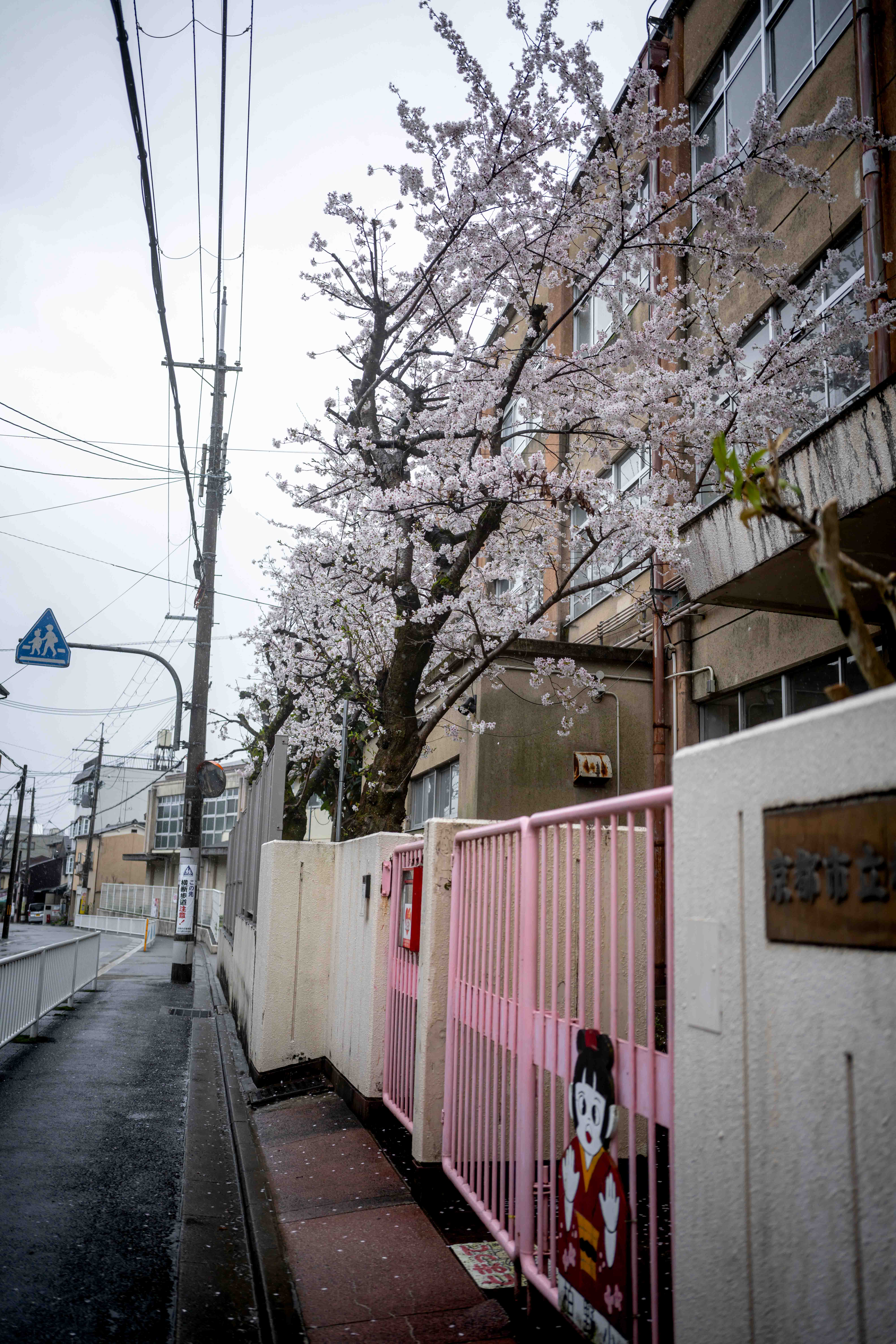 Photos from Tokyo and Kyoto, Japan, Spring 2026.