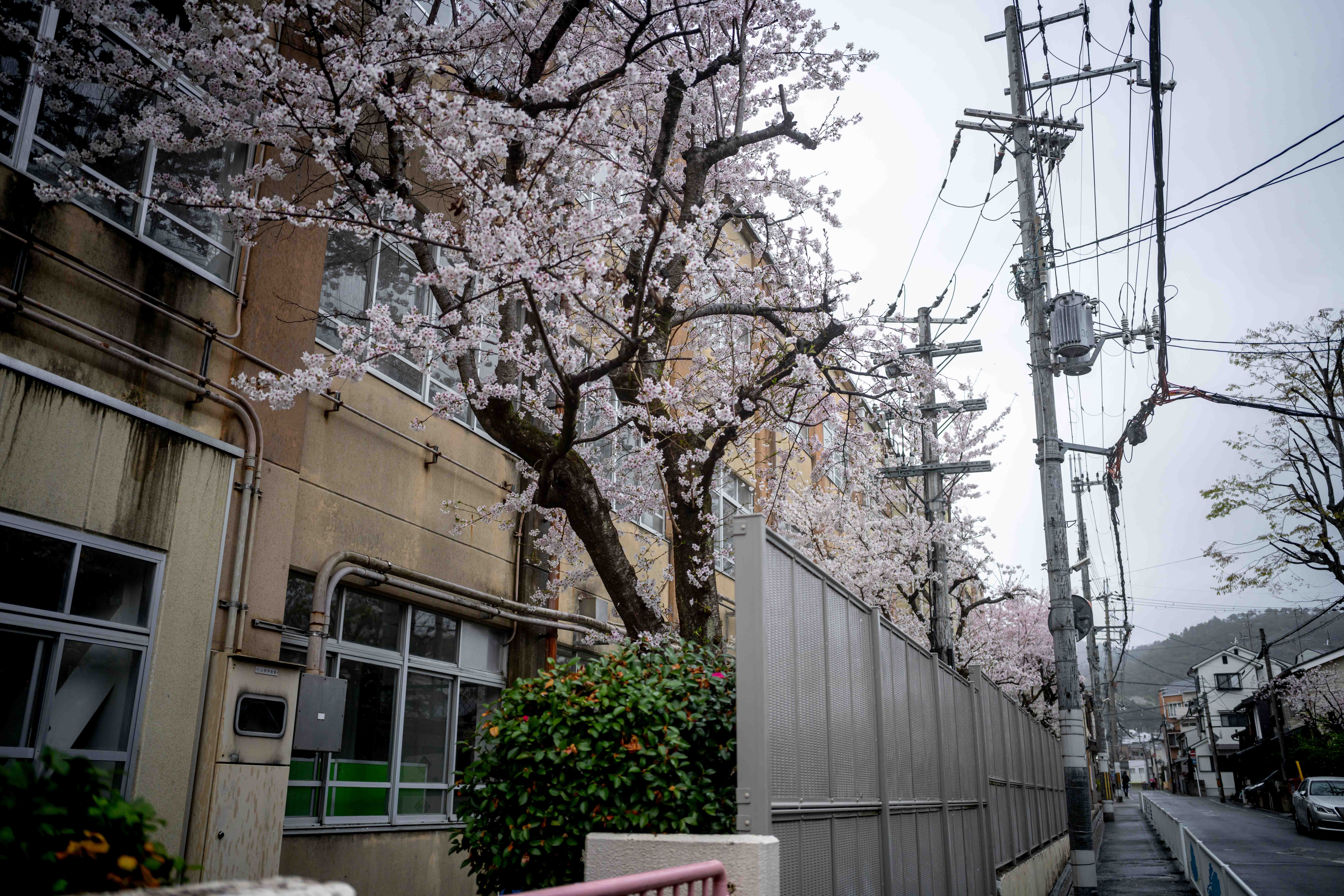 Photos from Tokyo and Kyoto, Japan, Spring 2026.