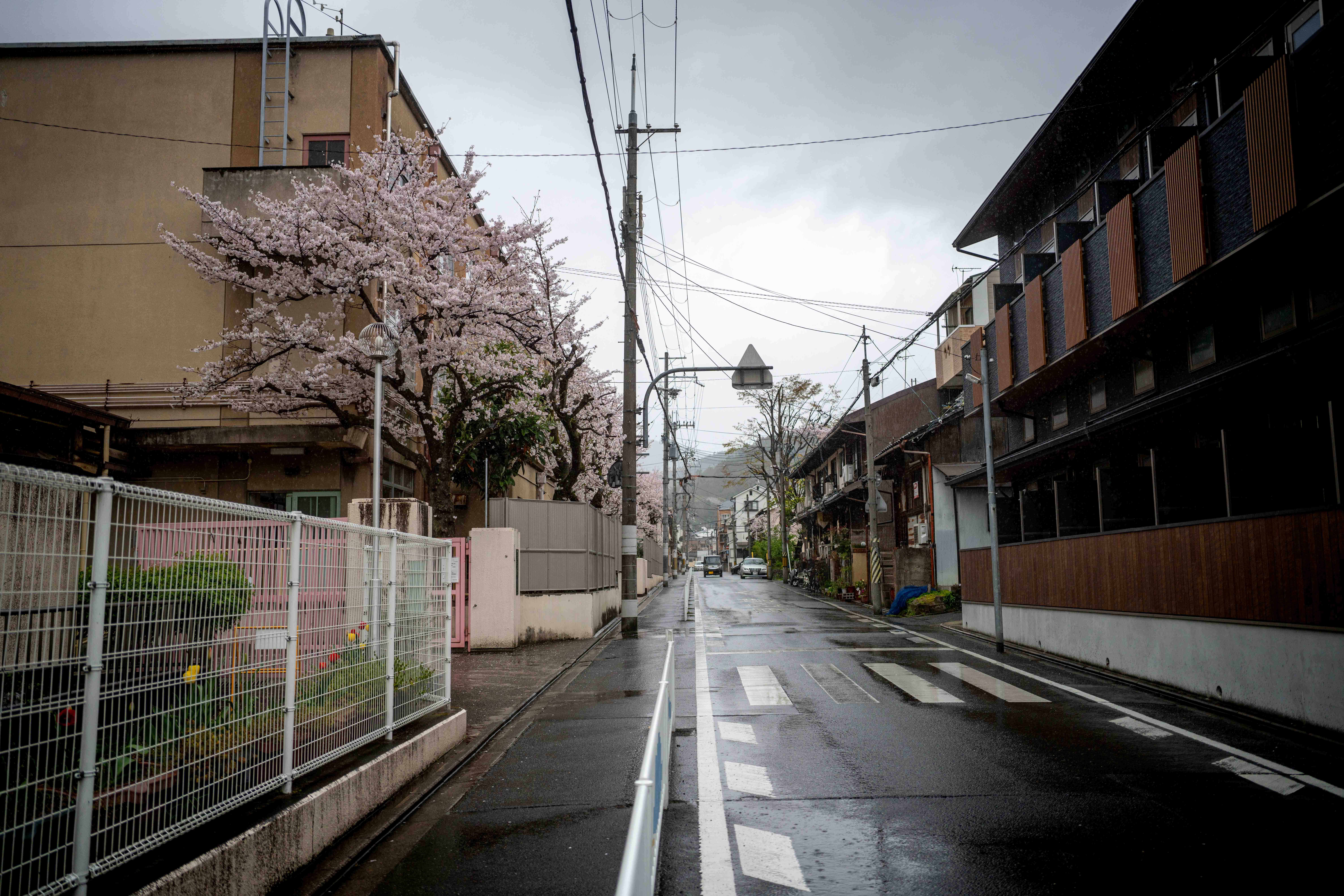 Photos from Tokyo and Kyoto, Japan, Spring 2026.