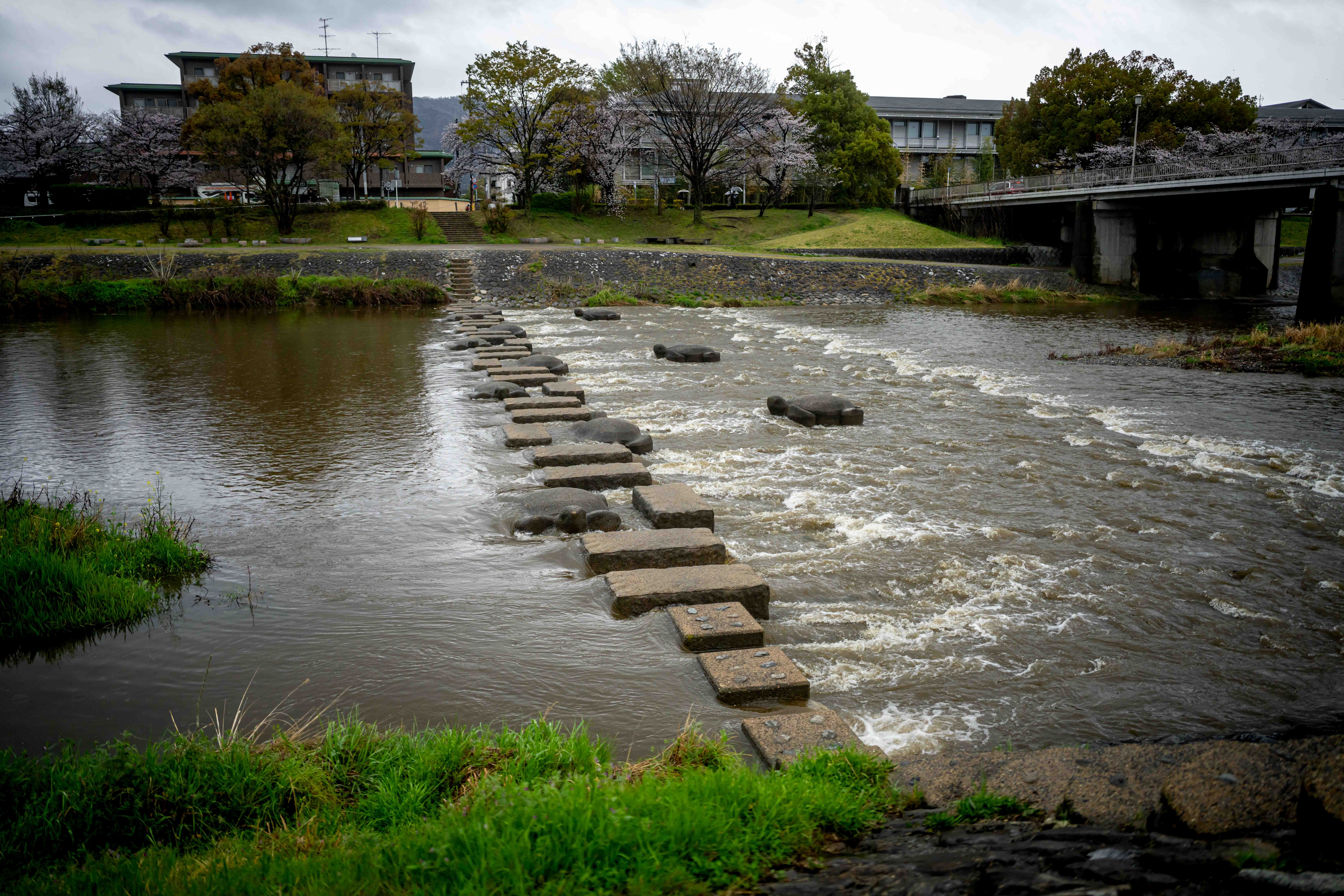 Photos from Tokyo and Kyoto, Japan, Spring 2026.