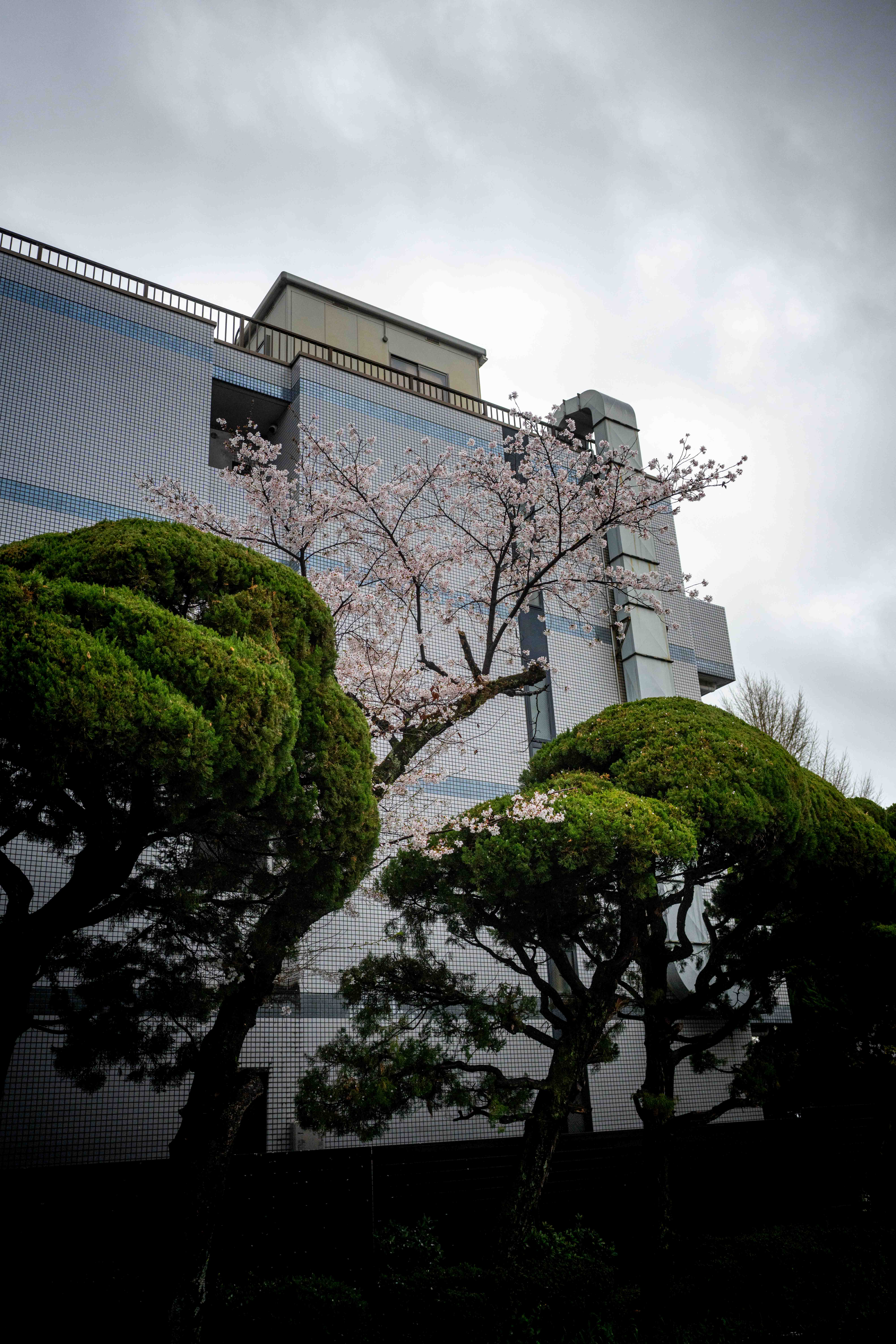 Photos from Tokyo and Kyoto, Japan, Spring 2026.