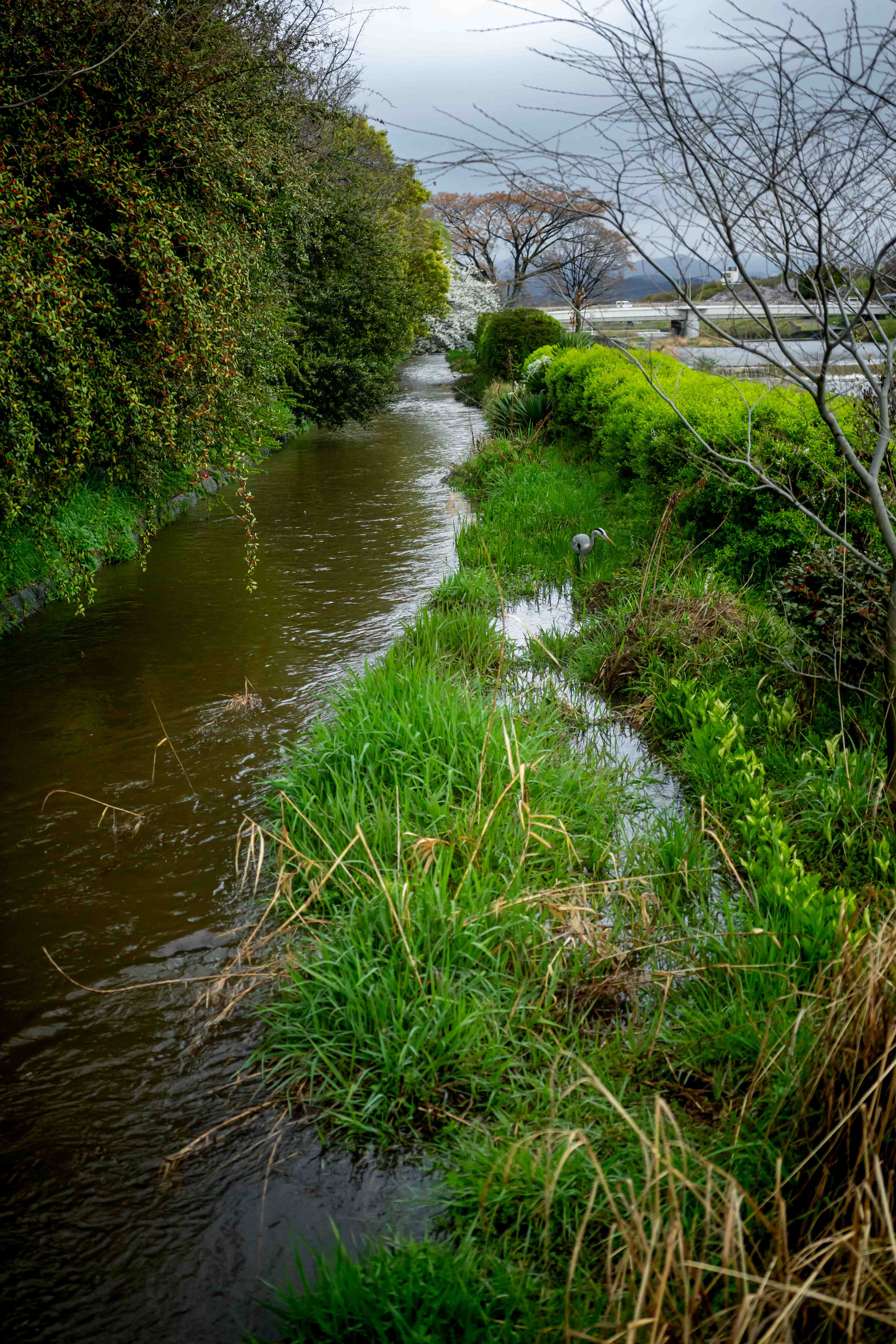 Photos from Tokyo and Kyoto, Japan, Spring 2026.