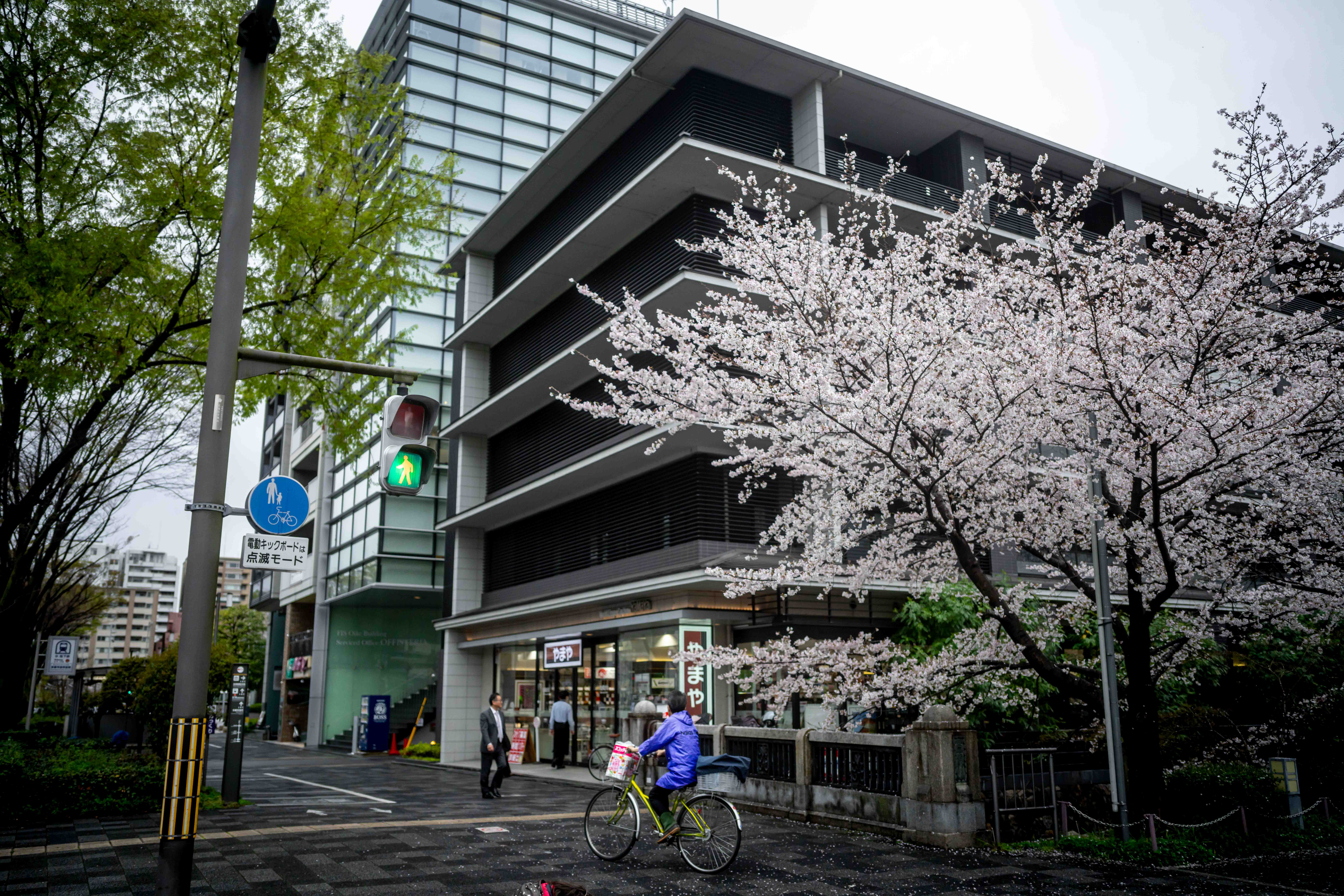 Photos from Tokyo and Kyoto, Japan, Spring 2026.