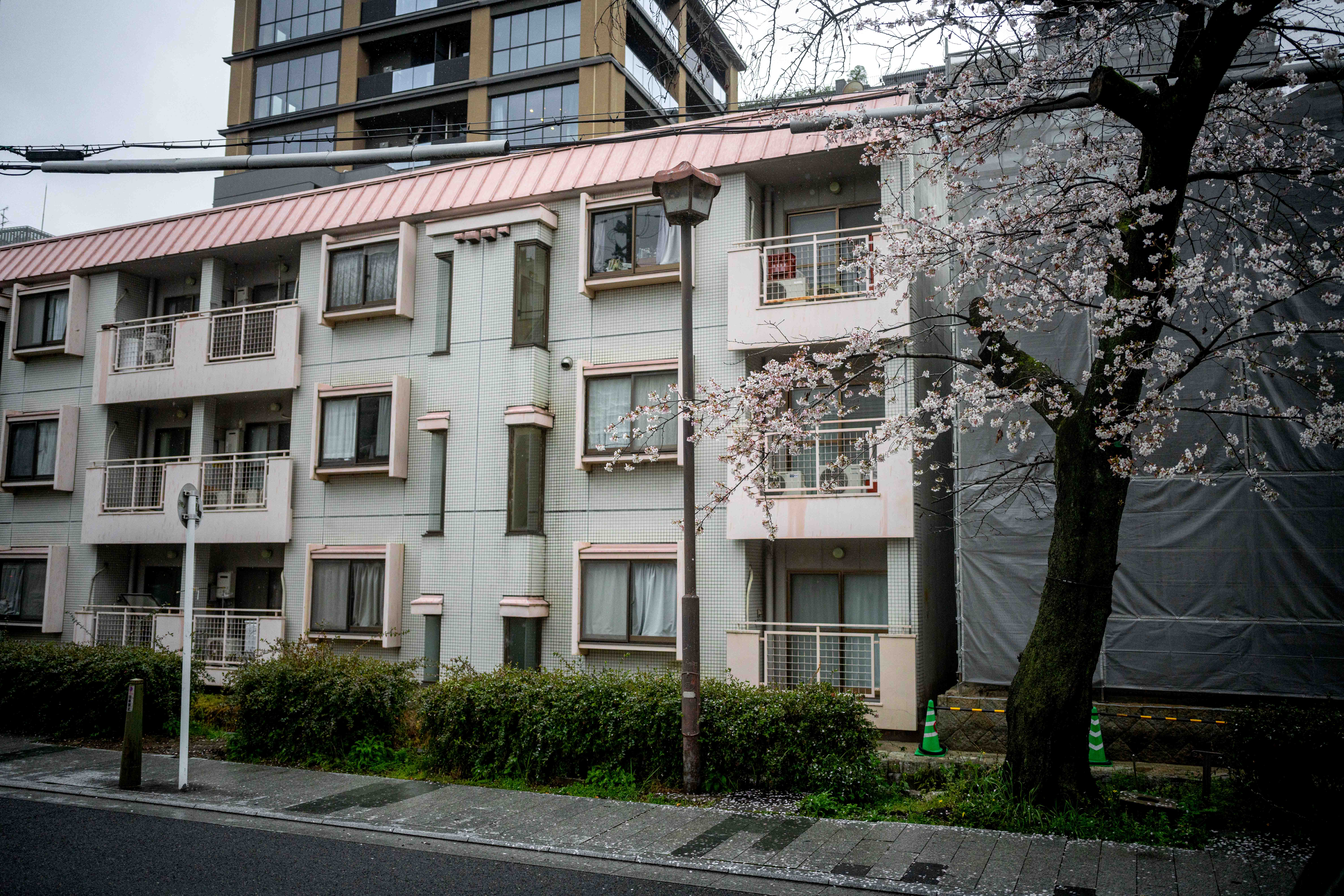 Photos from Tokyo and Kyoto, Japan, Spring 2026.