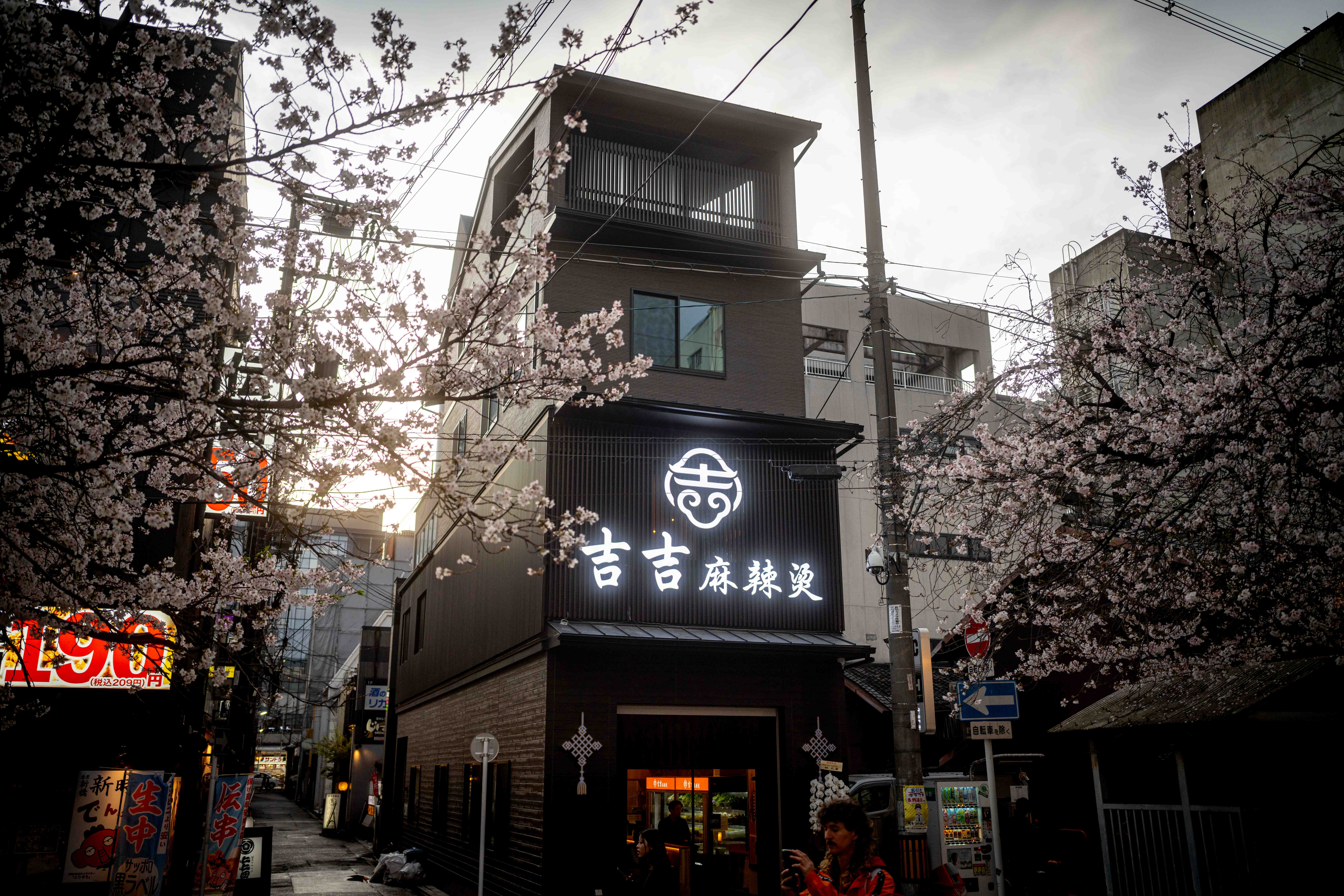 Photos from Tokyo and Kyoto, Japan, Spring 2026.