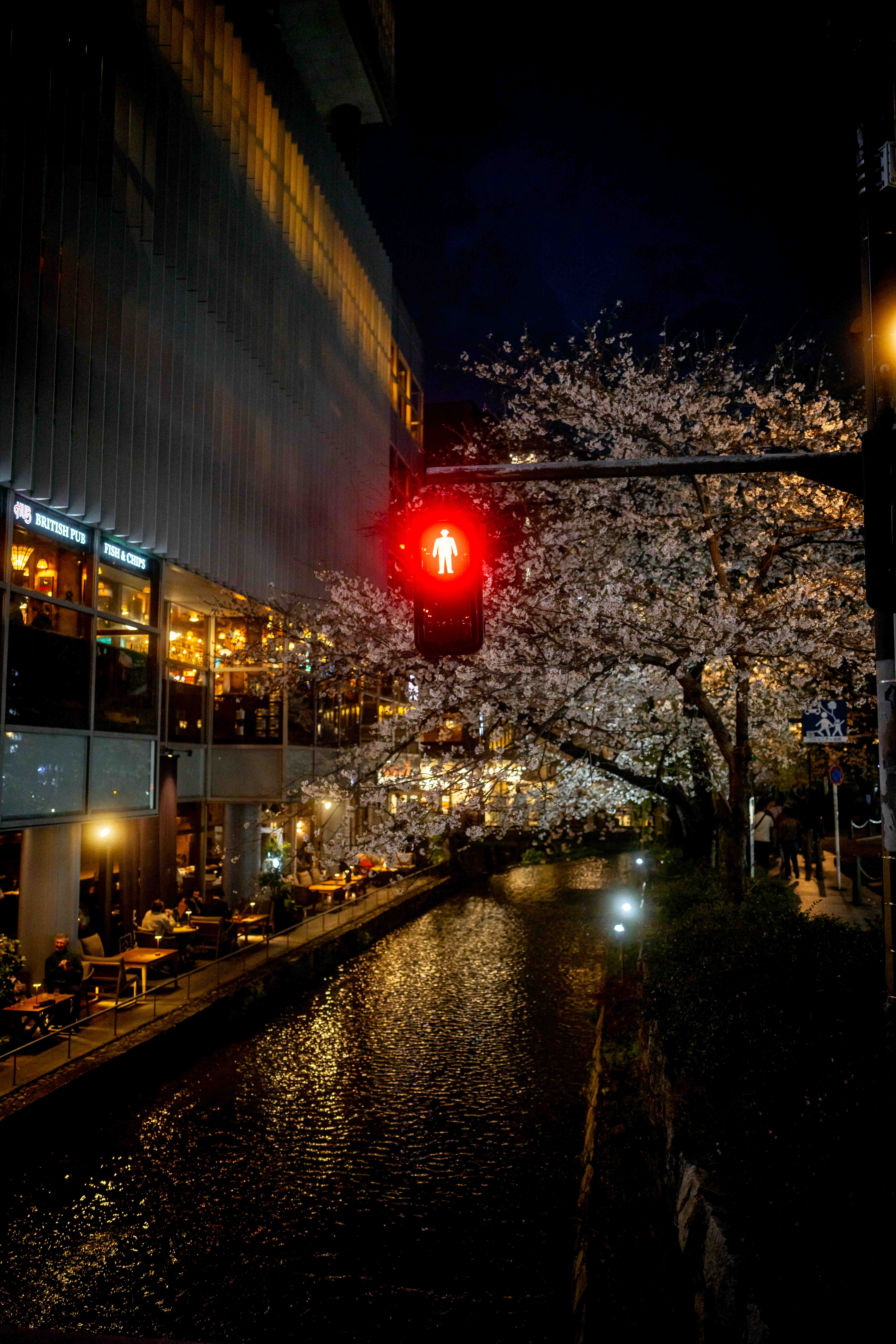 Photos from Tokyo and Kyoto, Japan, Spring 2026.