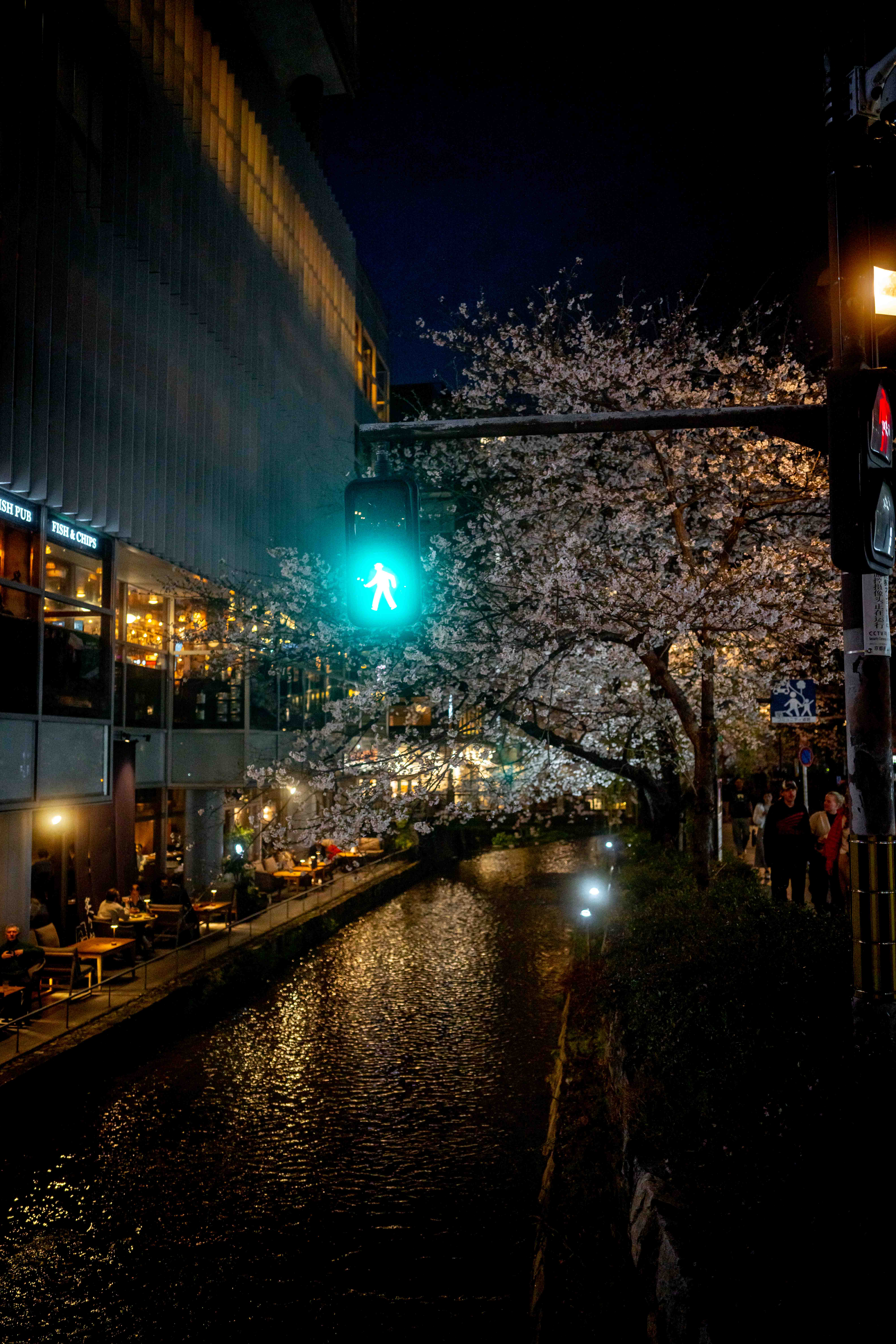 Photos from Tokyo and Kyoto, Japan, Spring 2026.