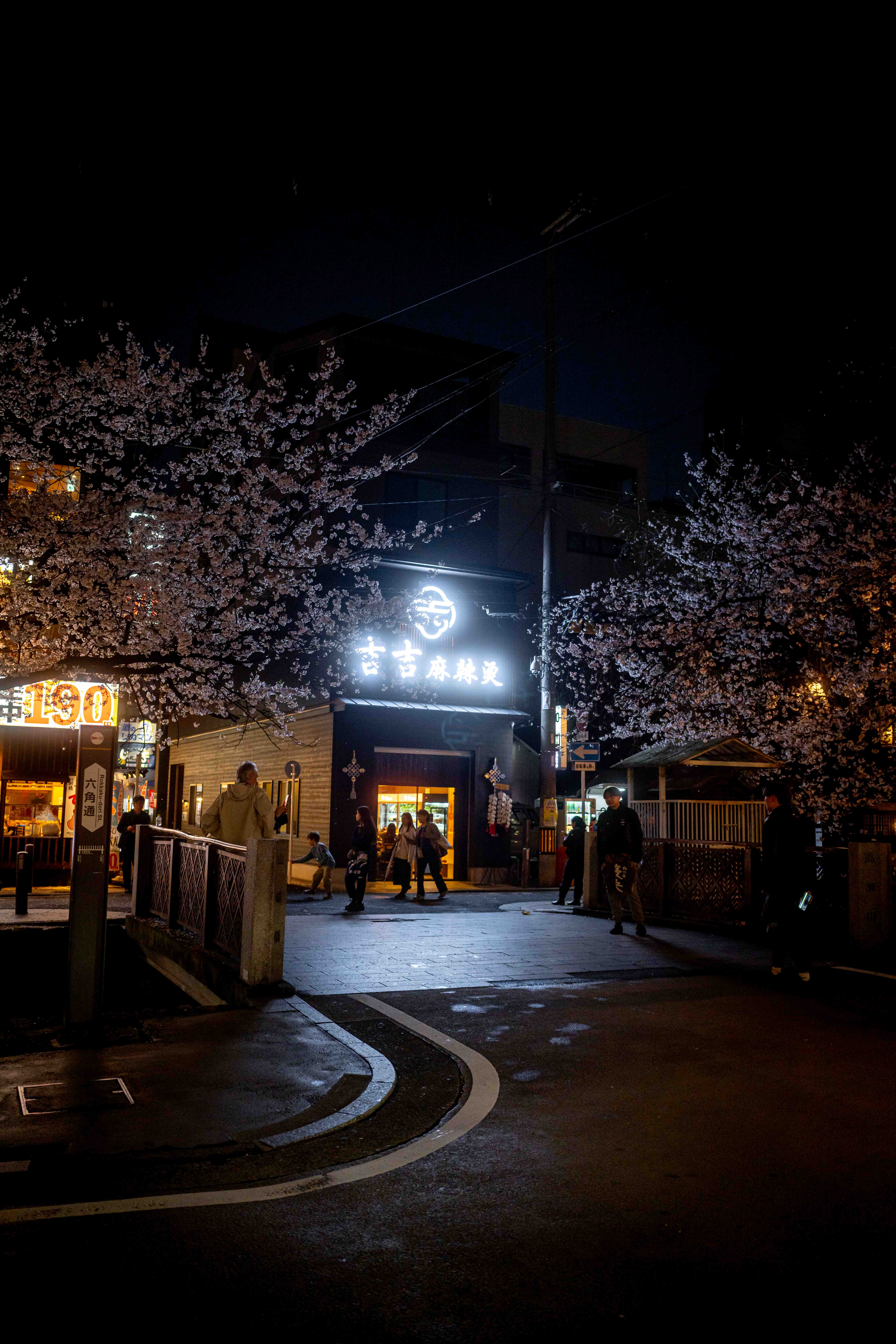 Photos from Tokyo and Kyoto, Japan, Spring 2026.