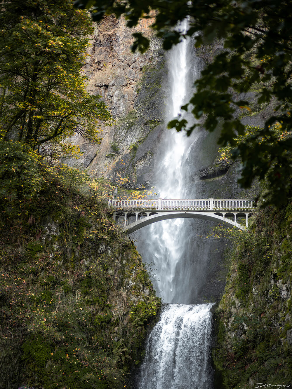 Photography from Mt Hood, Mirror Lake, Lost Lake, Smith Rock State Park, Painted Hills, Blue Pool, and Cannon Beach, Oregon in Fall of 2020.