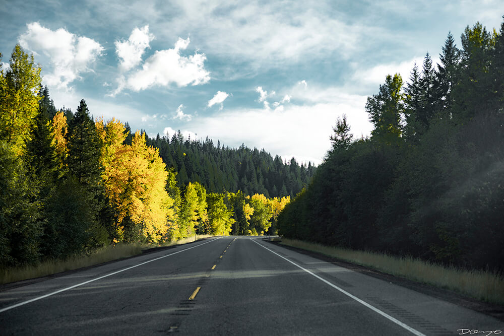 Photography from Mt Hood, Mirror Lake, Lost Lake, Smith Rock State Park, Painted Hills, Blue Pool, and Cannon Beach, Oregon in Fall of 2020.