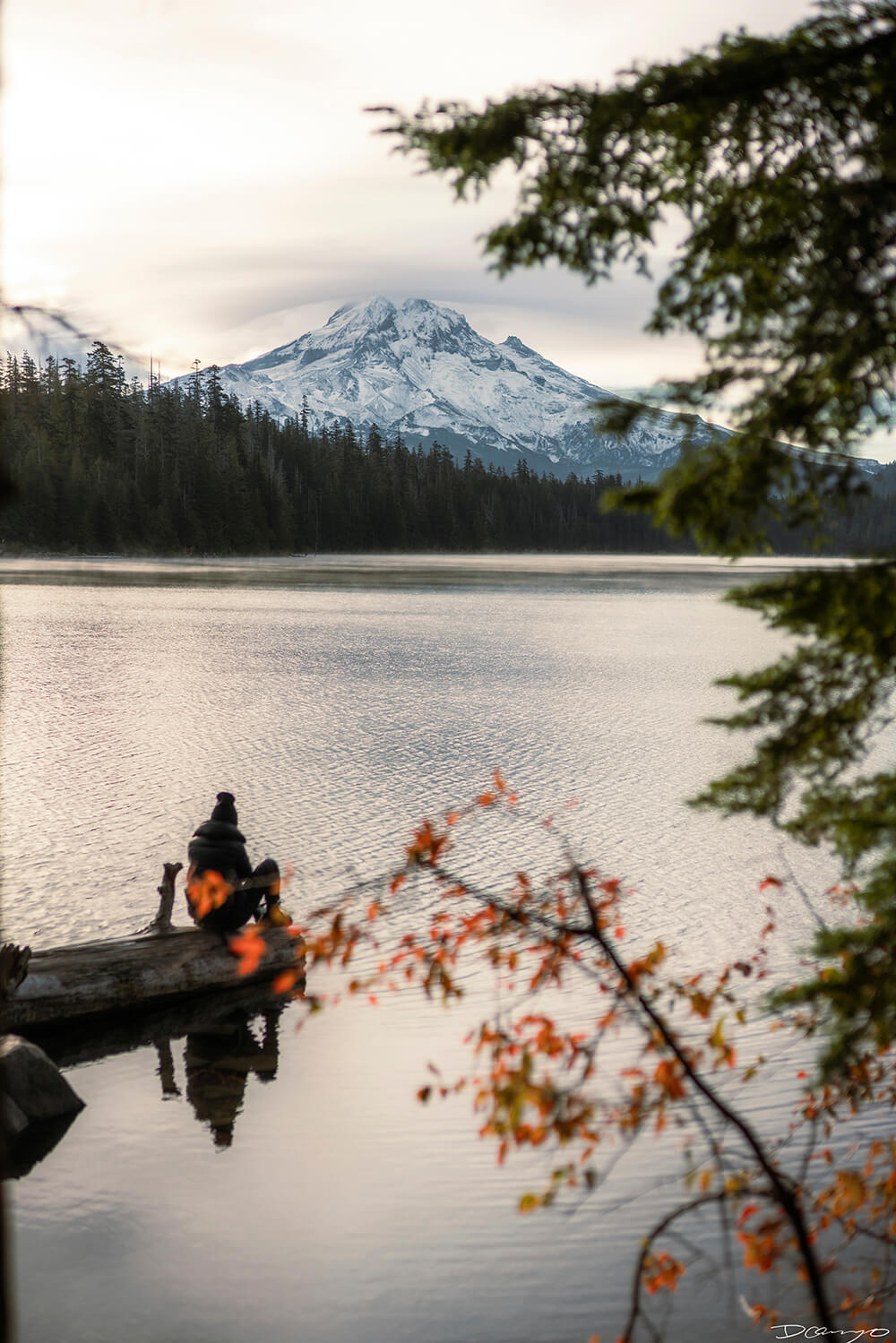 Photography from Mt Hood, Mirror Lake, Lost Lake, Smith Rock State Park, Painted Hills, Blue Pool, and Cannon Beach, Oregon in Fall of 2020.