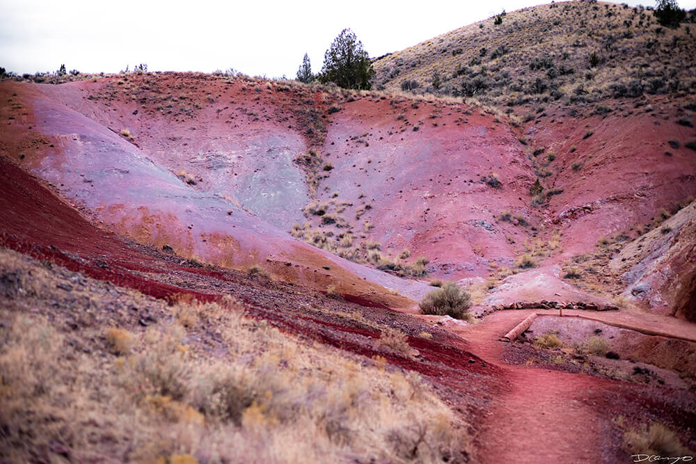 Photography from Mt Hood, Mirror Lake, Lost Lake, Smith Rock State Park, Painted Hills, Blue Pool, and Cannon Beach, Oregon in Fall of 2020.