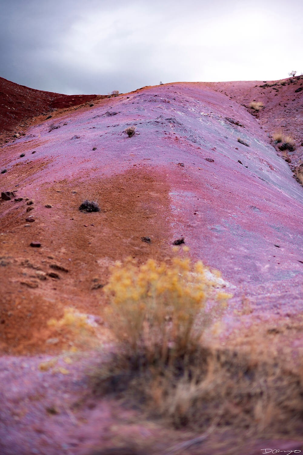 Photography from Mt Hood, Mirror Lake, Lost Lake, Smith Rock State Park, Painted Hills, Blue Pool, and Cannon Beach, Oregon in Fall of 2020.