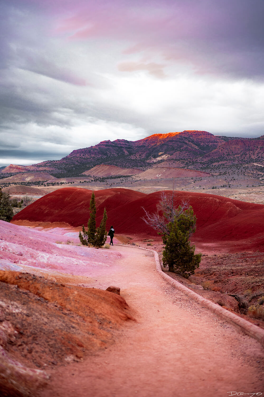 Photography from Mt Hood, Mirror Lake, Lost Lake, Smith Rock State Park, Painted Hills, Blue Pool, and Cannon Beach, Oregon in Fall of 2020.