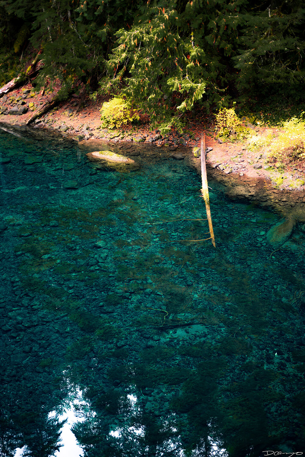 Photography from Mt Hood, Mirror Lake, Lost Lake, Smith Rock State Park, Painted Hills, Blue Pool, and Cannon Beach, Oregon in Fall of 2020.