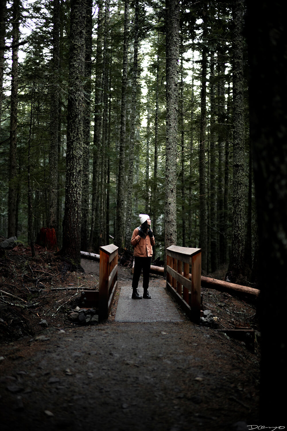 Portrait photography from Mt Hood, Mirror Lake, Lost Lake, Smith Rock State Park, Painted Hills, Blue Pool, and Cannon Beach, Oregon in Fall of 2020.