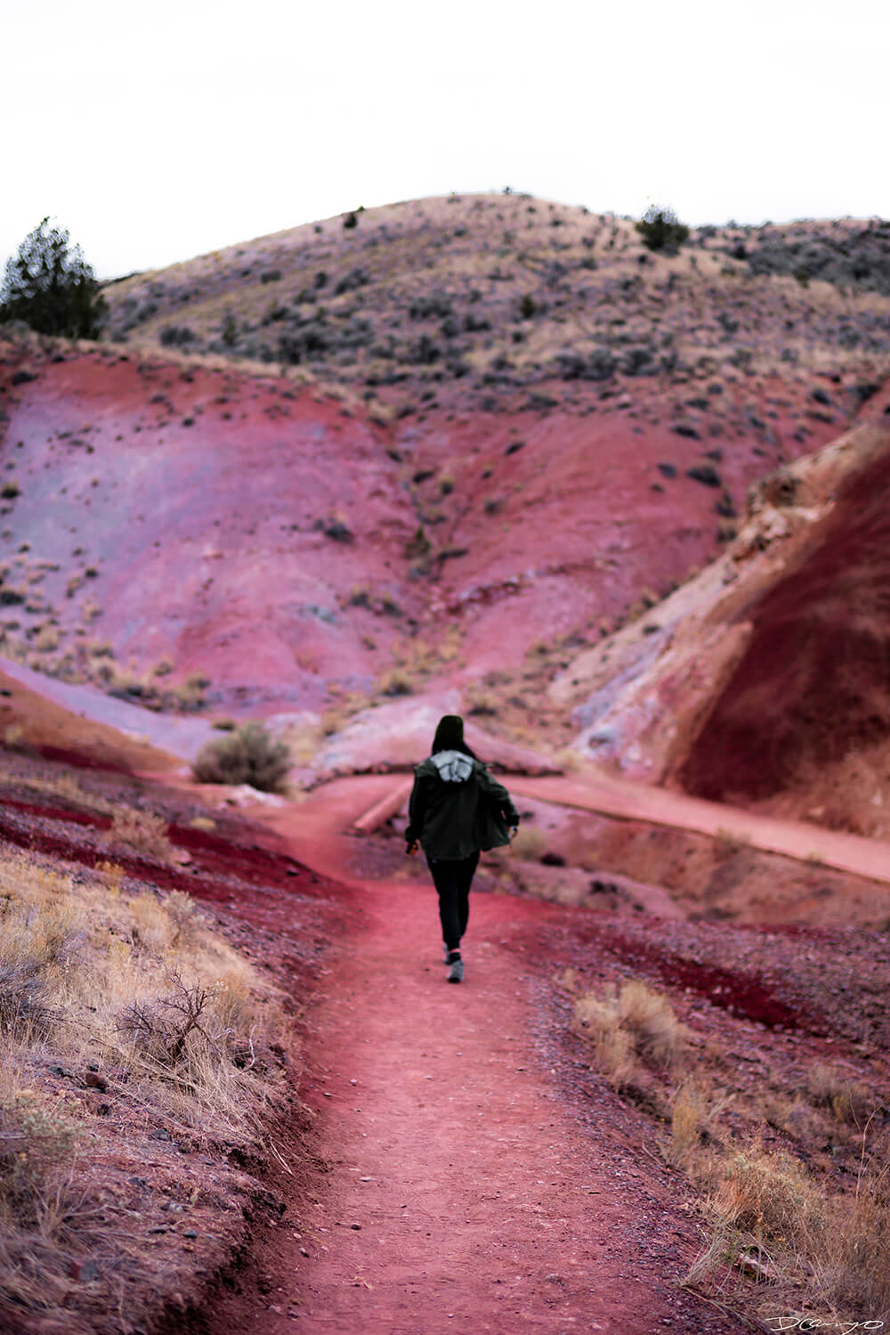 Portrait photography from Mt Hood, Mirror Lake, Lost Lake, Smith Rock State Park, Painted Hills, Blue Pool, and Cannon Beach, Oregon in Fall of 2020.