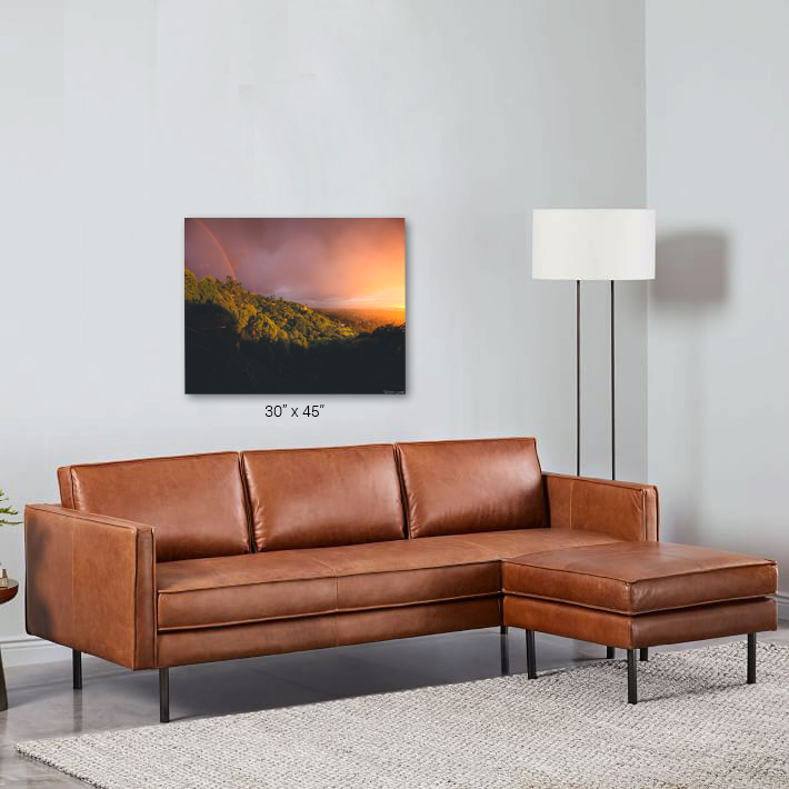 Examples of Danny Camozzo's photos in stock settings.