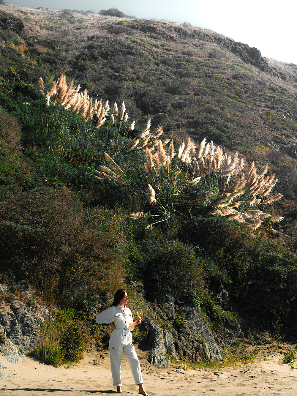 Photos with Leah Nebbett of Styles and Stems. Photographing for Alsace wines in Goat Rock Beach, Jenner, CA on September 27, 2020.