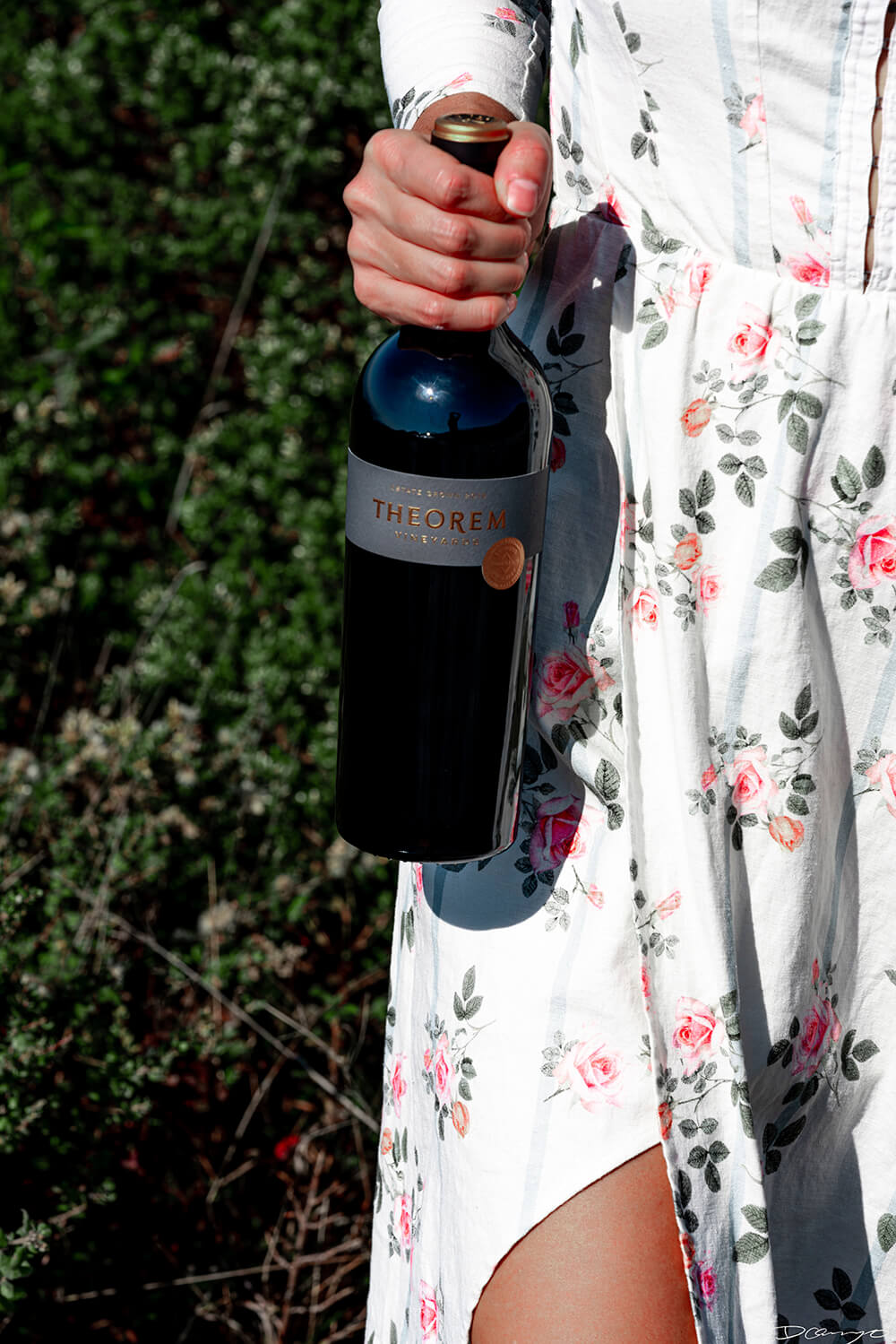Photos with Leah Nebbett of Styles and Stems. Photographing for Alsace wines in Goat Rock Beach, Jenner, CA on September 27, 2020.
